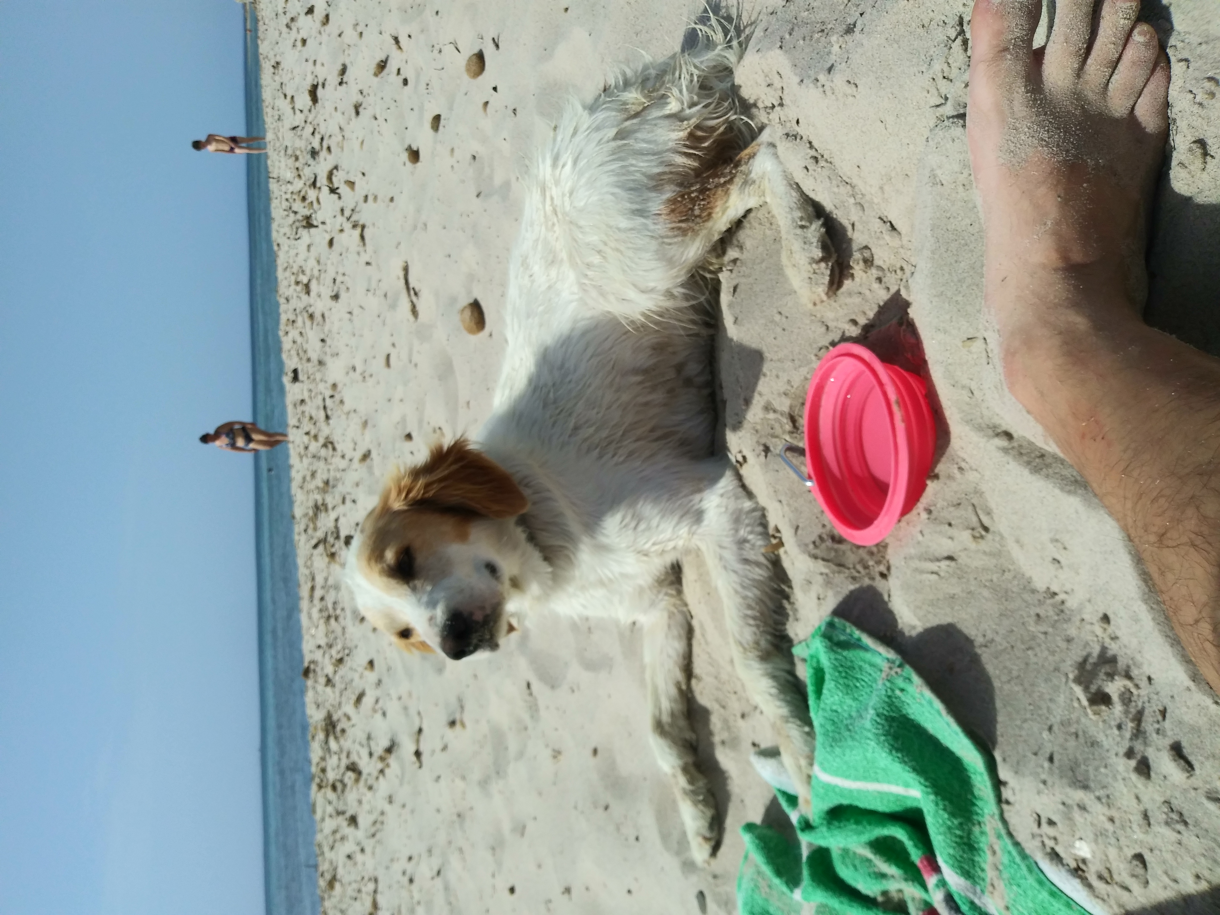 image-14