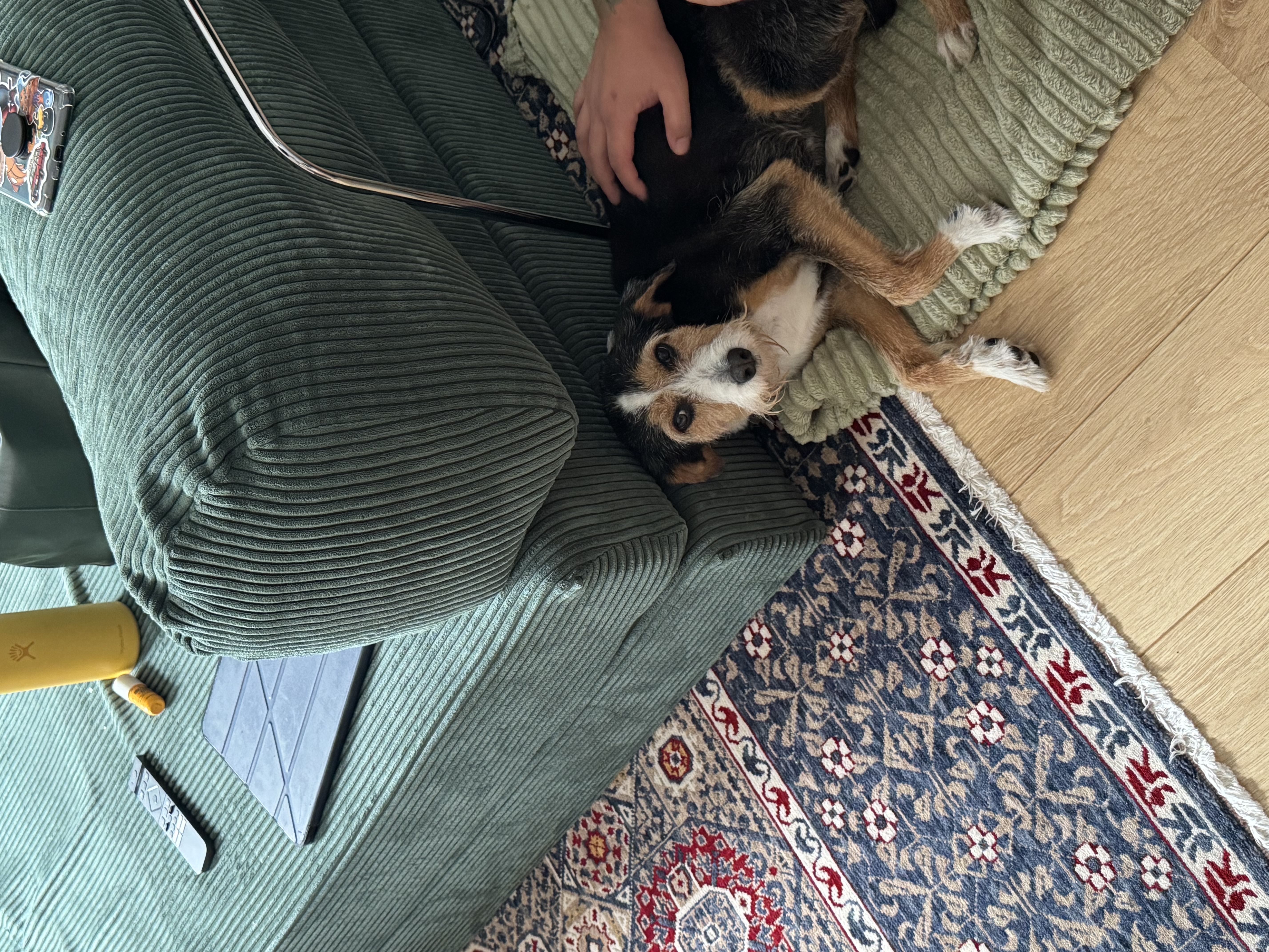 image-9