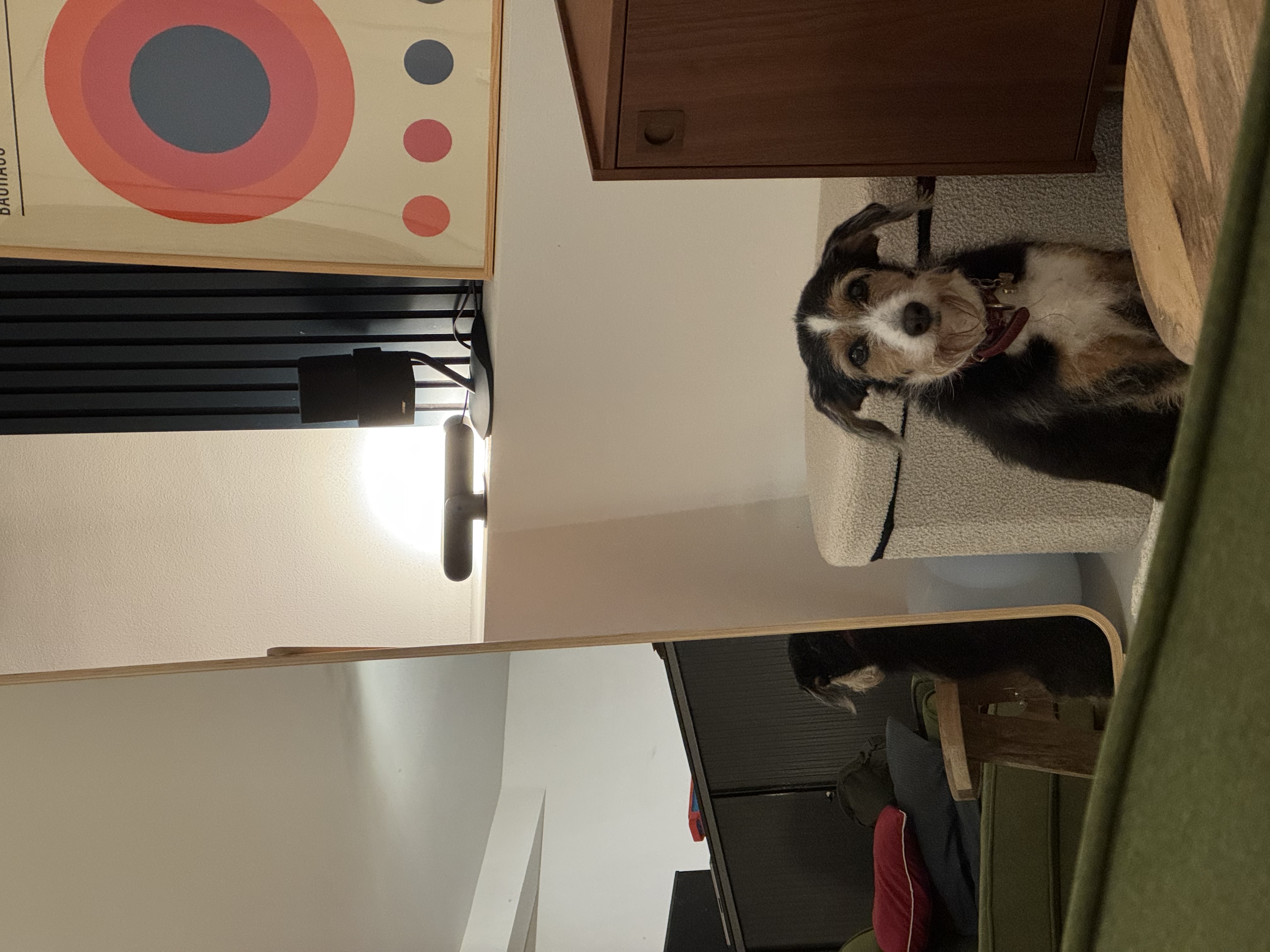 image-7