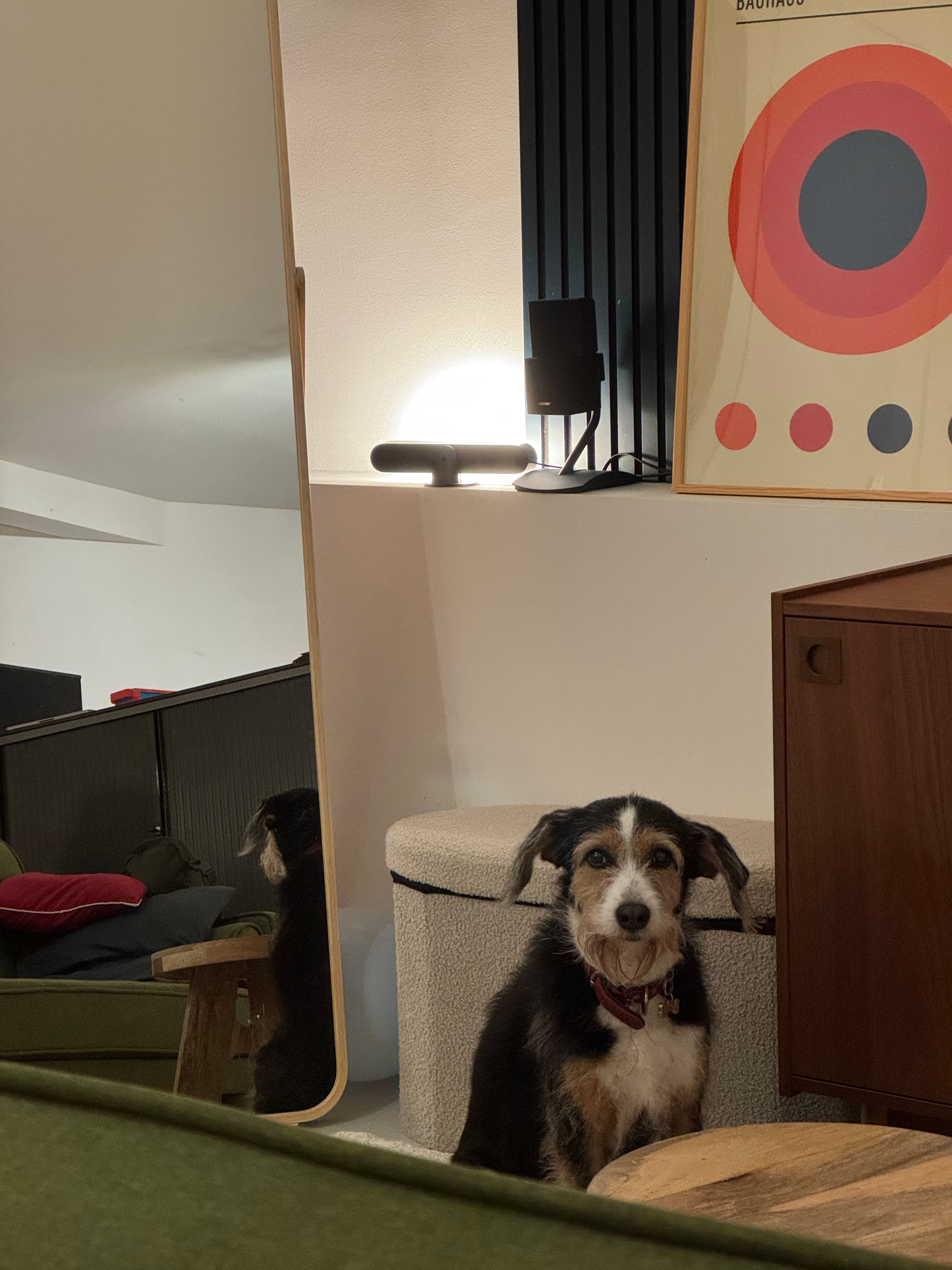 image-7