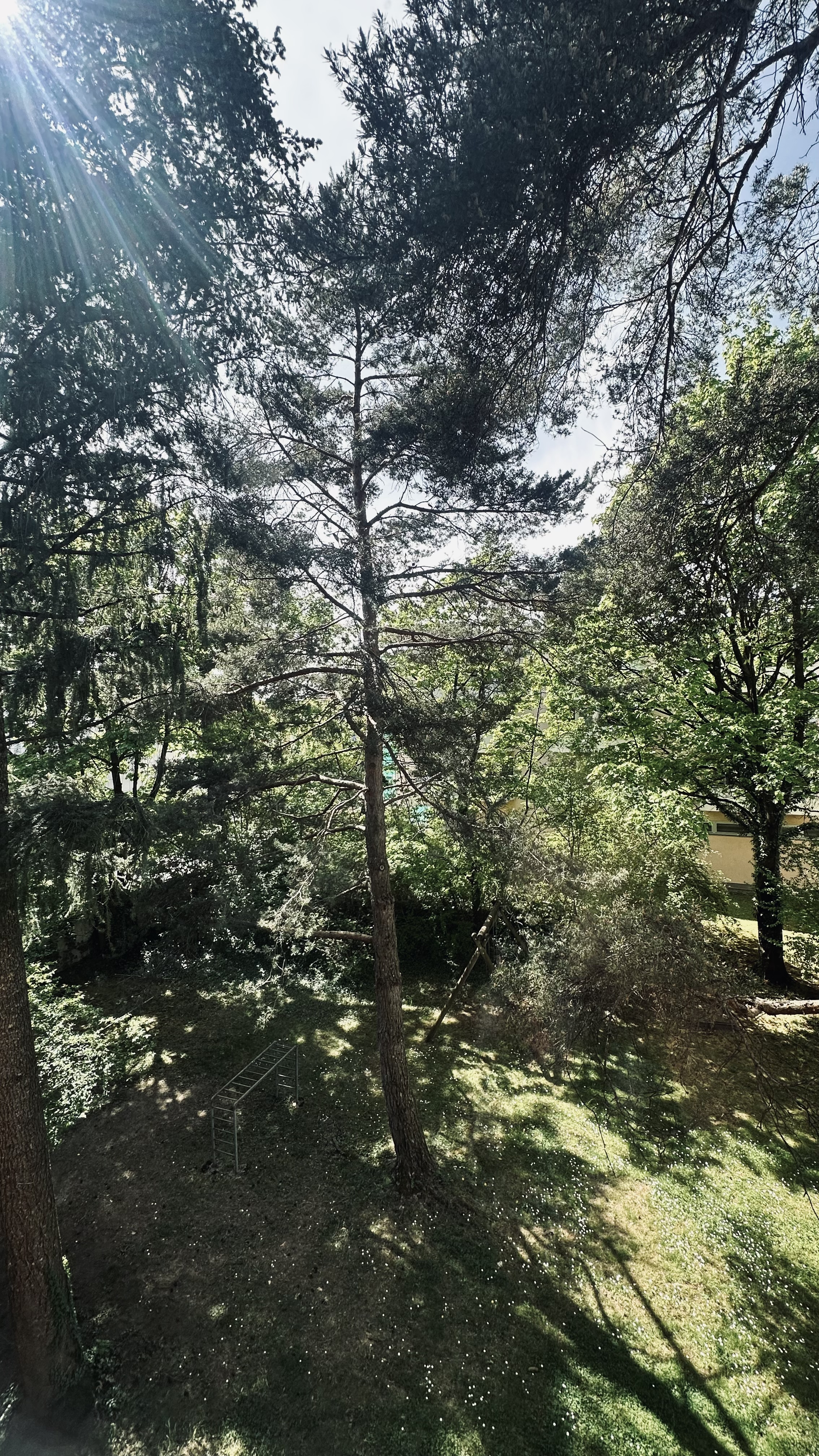image-20