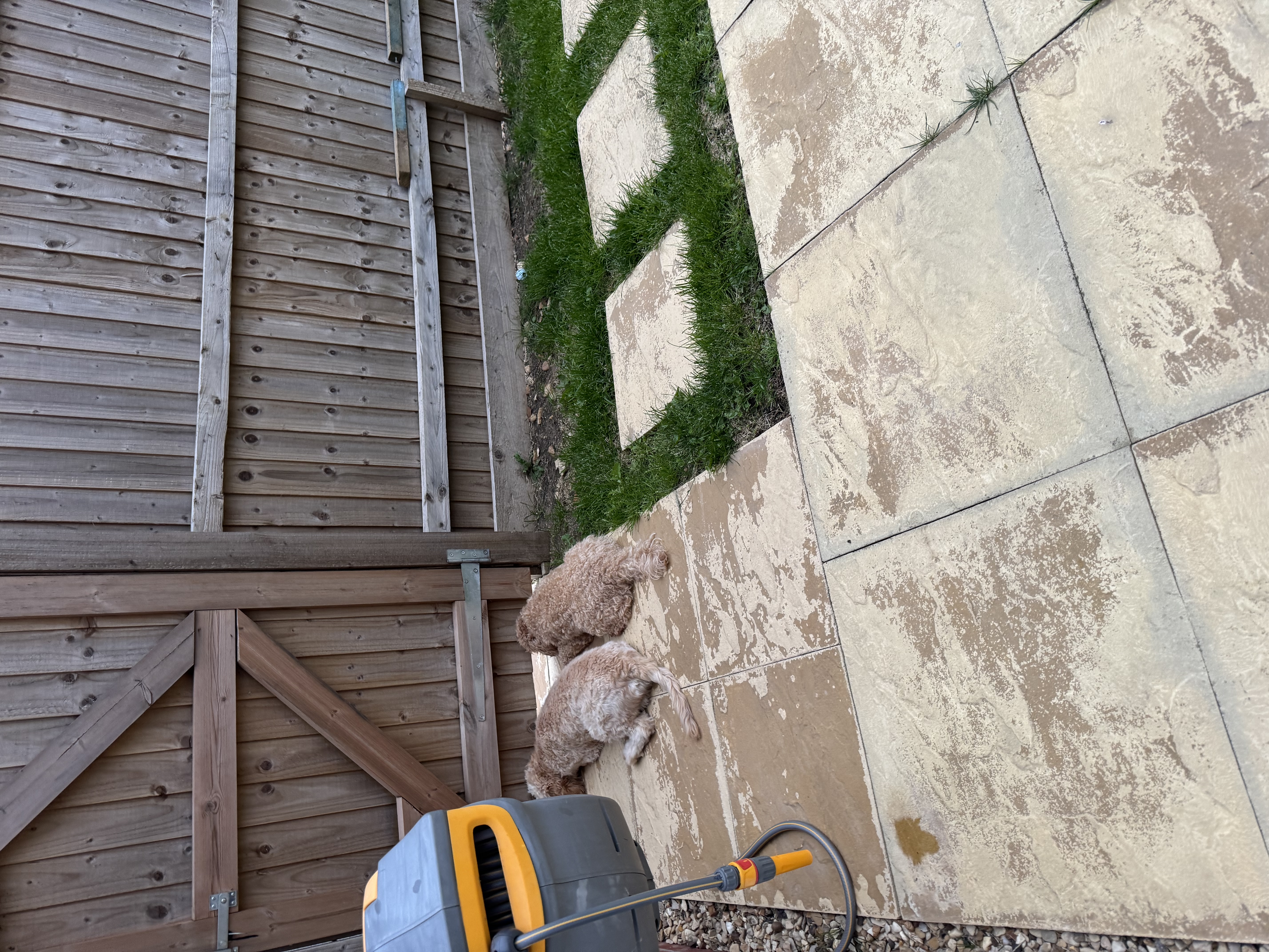 image-6