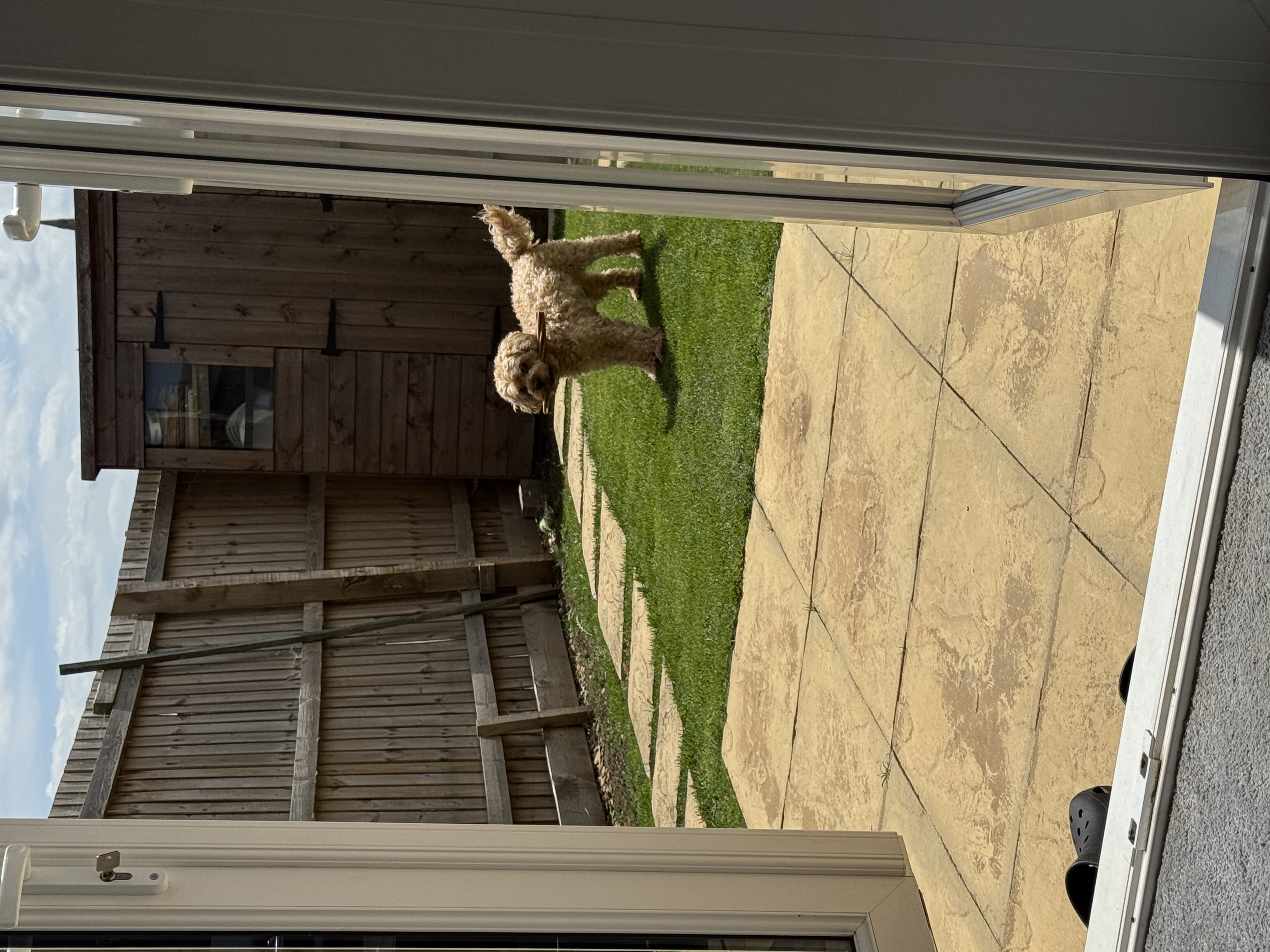 image-12