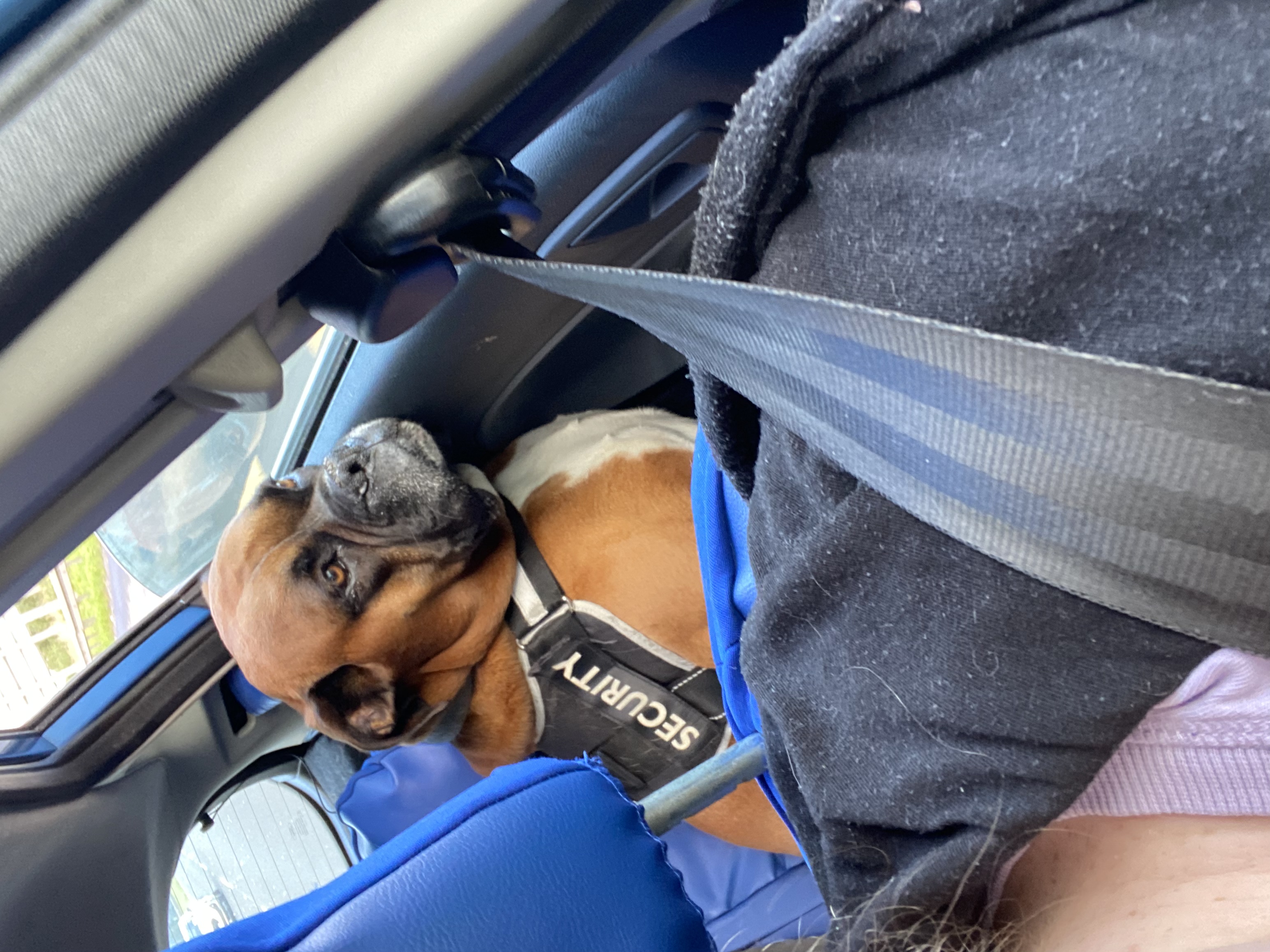 image-13