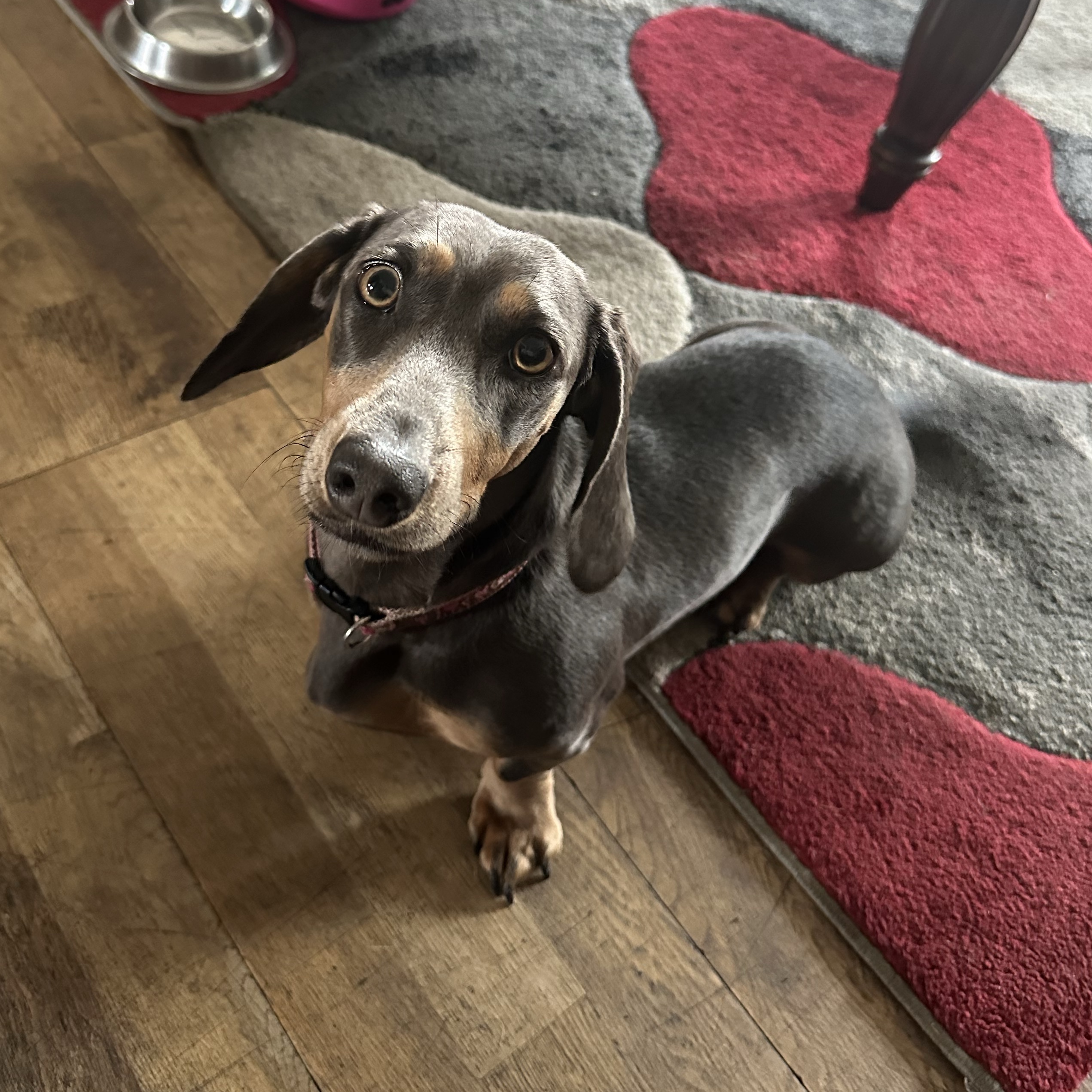 Penny