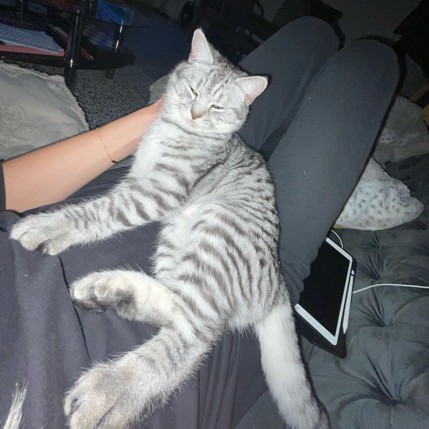 Sissi