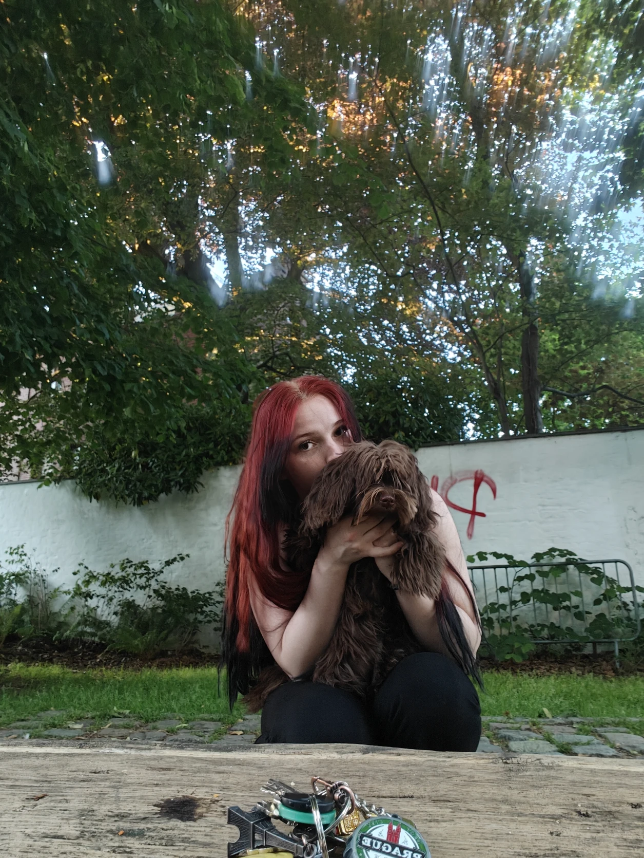 image-8