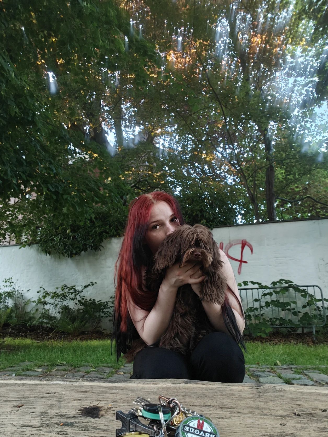 image-8