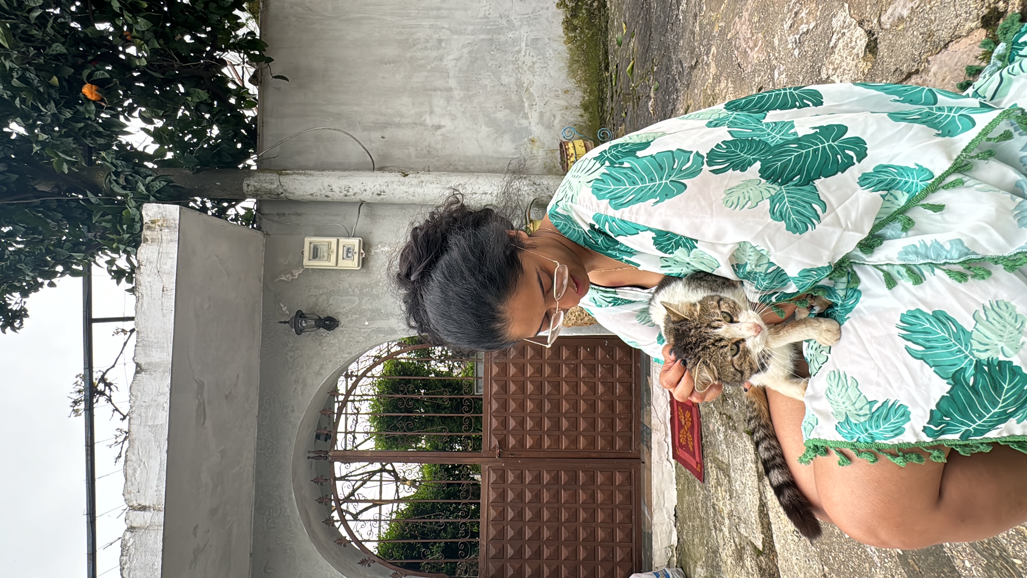 image-4