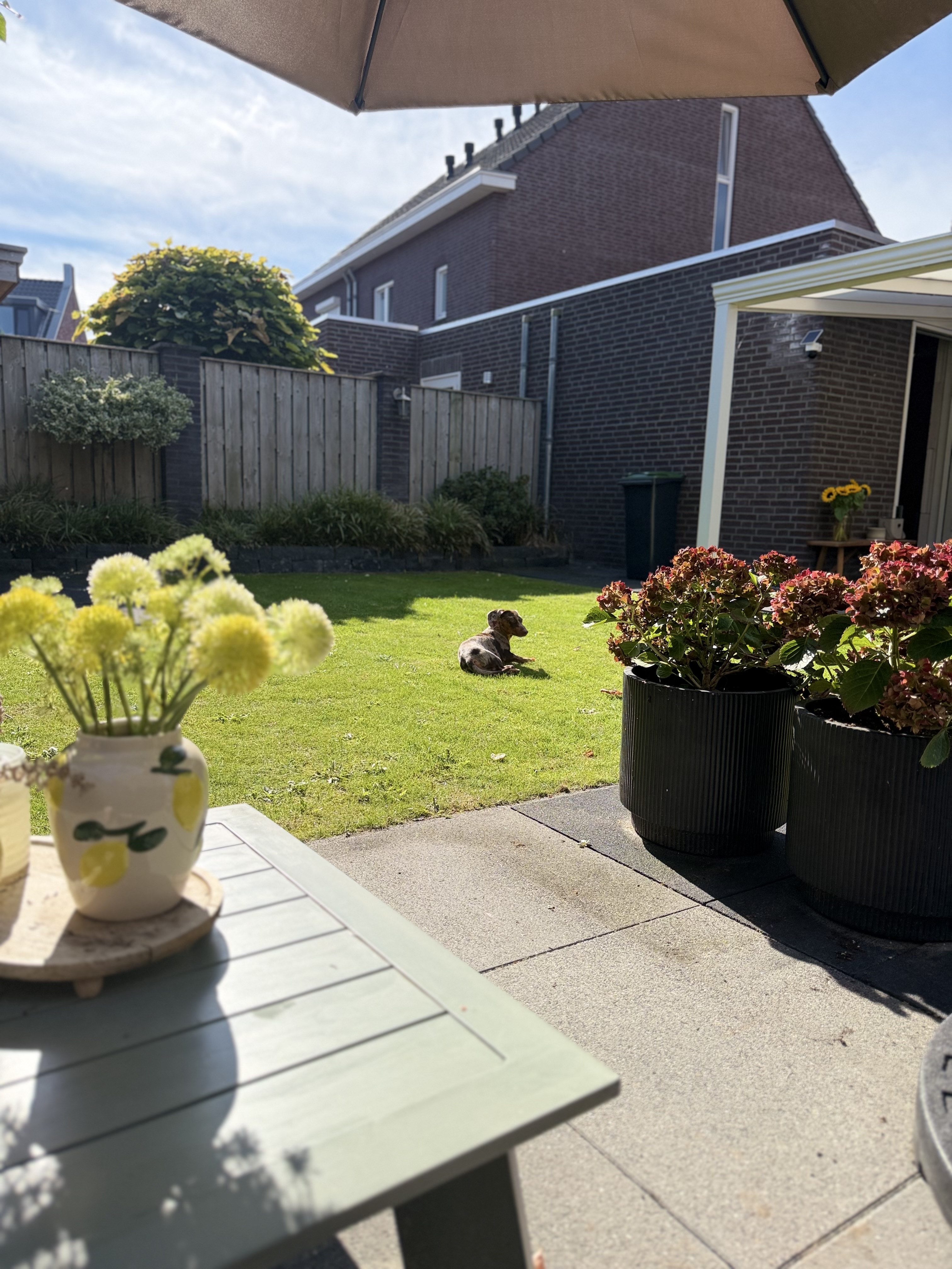 image-16