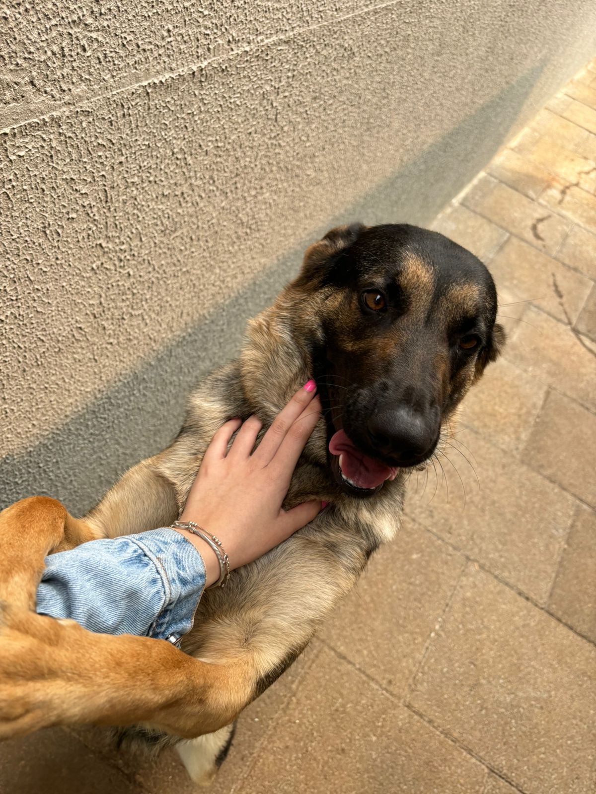 image-9