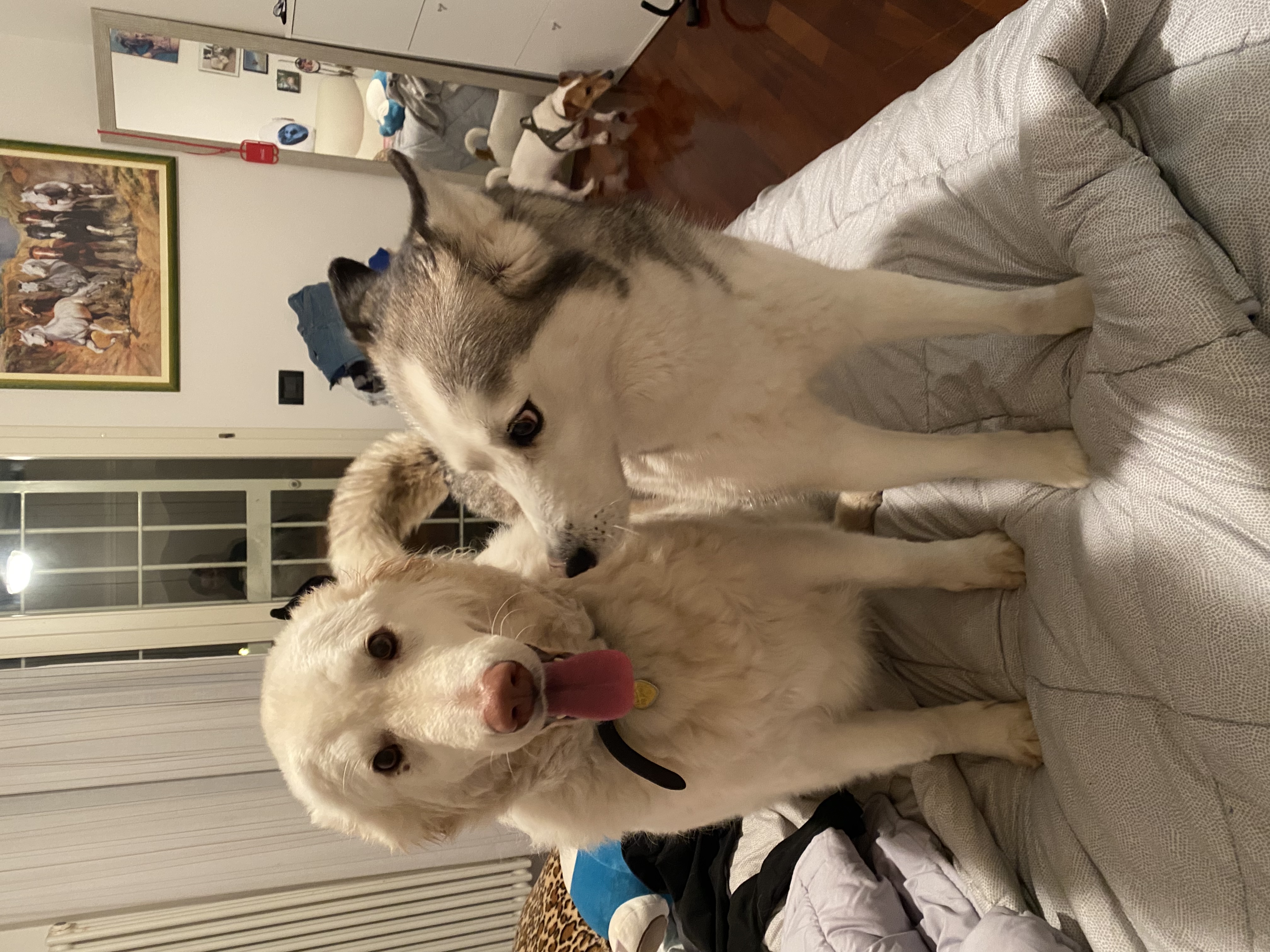 image-7
