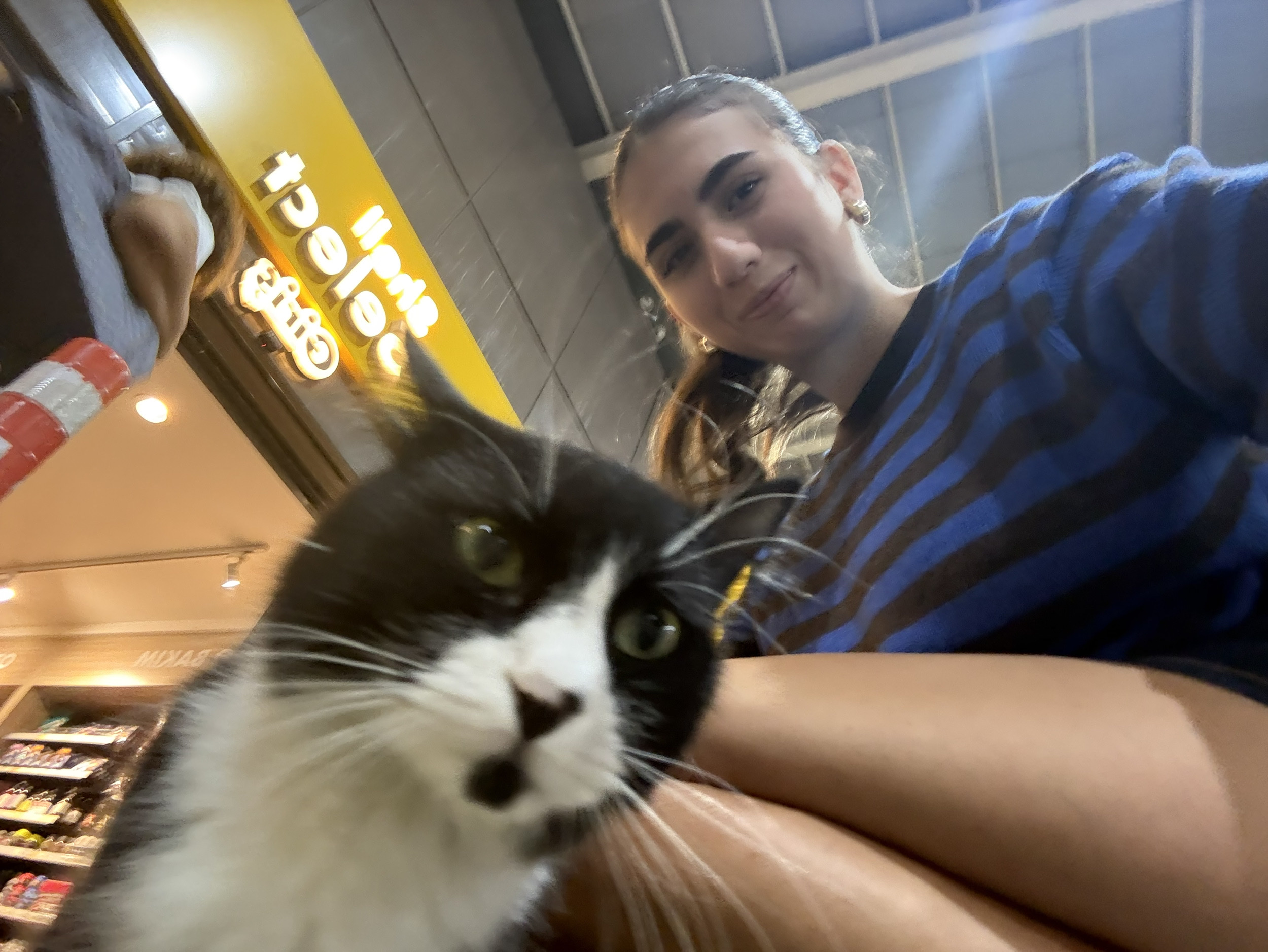 image-4