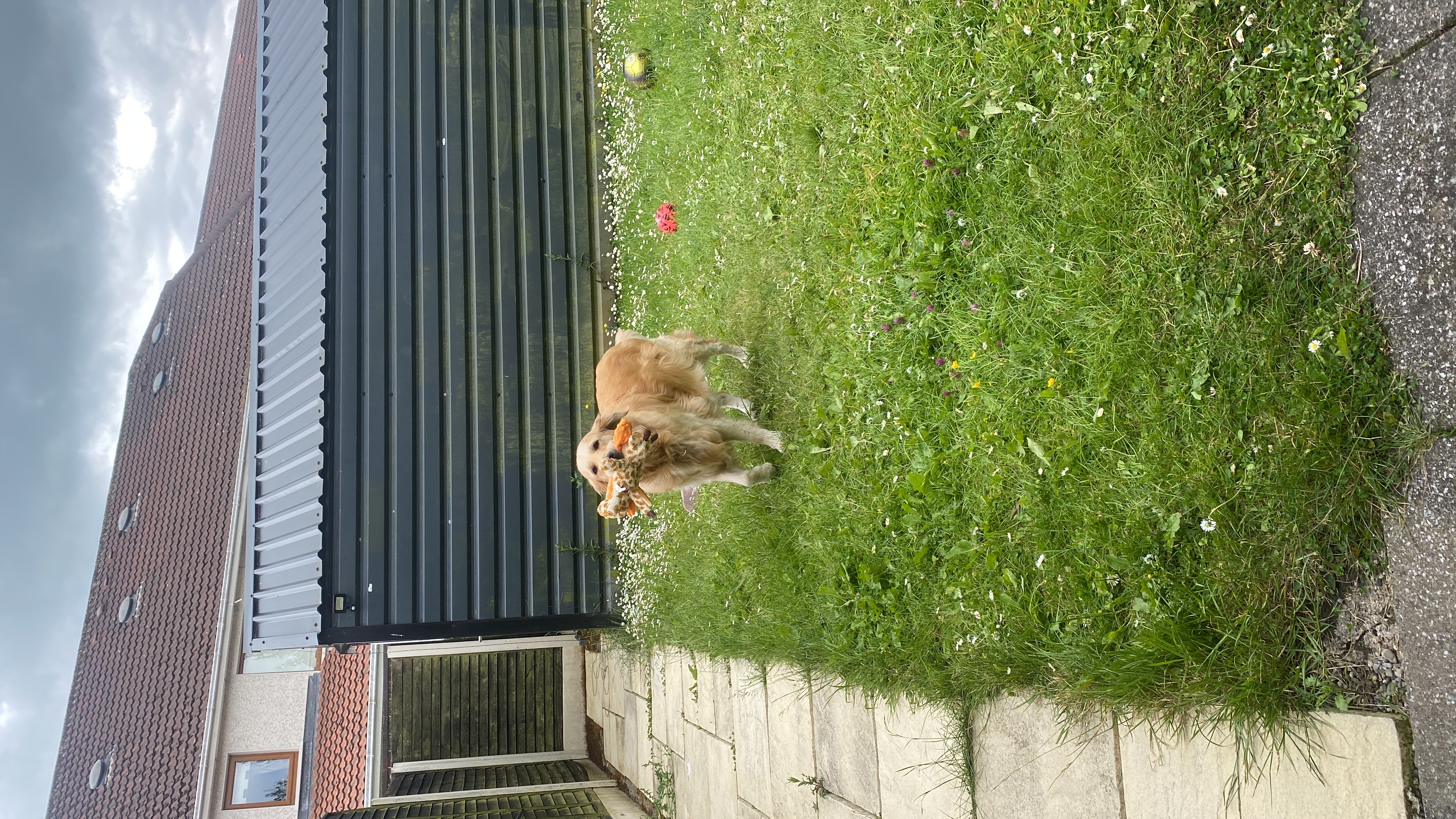 image-5