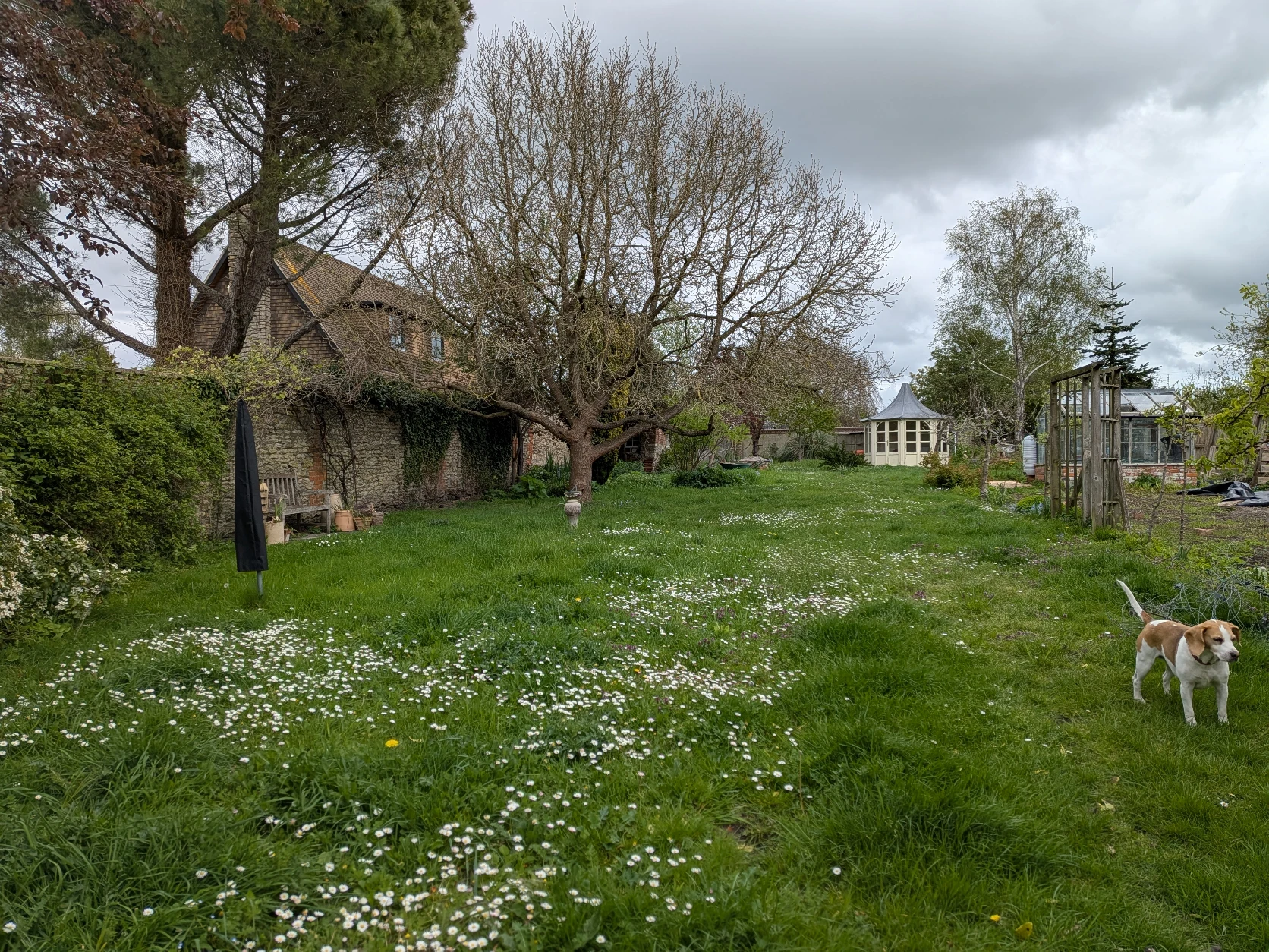 image-18