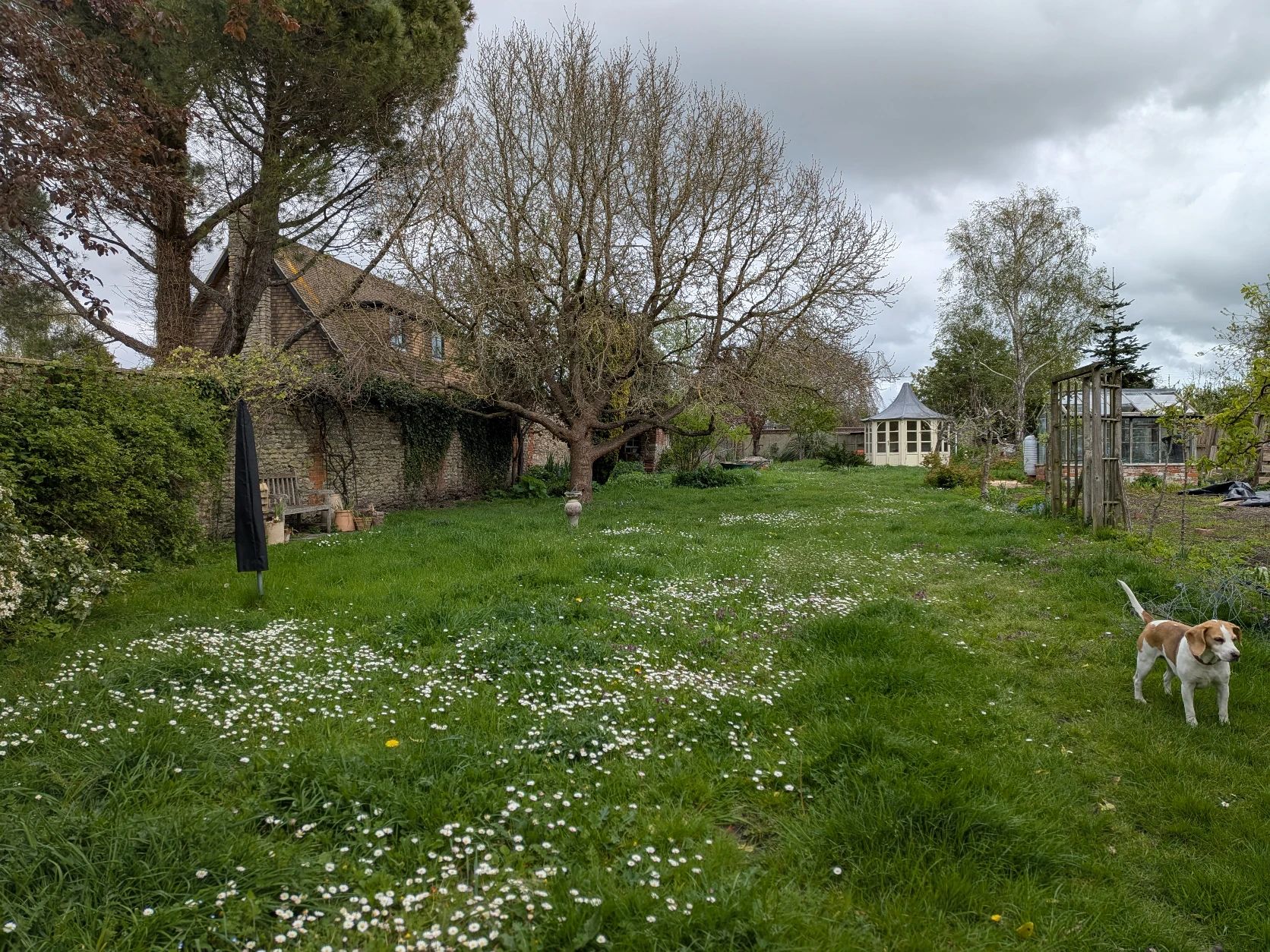 image-18
