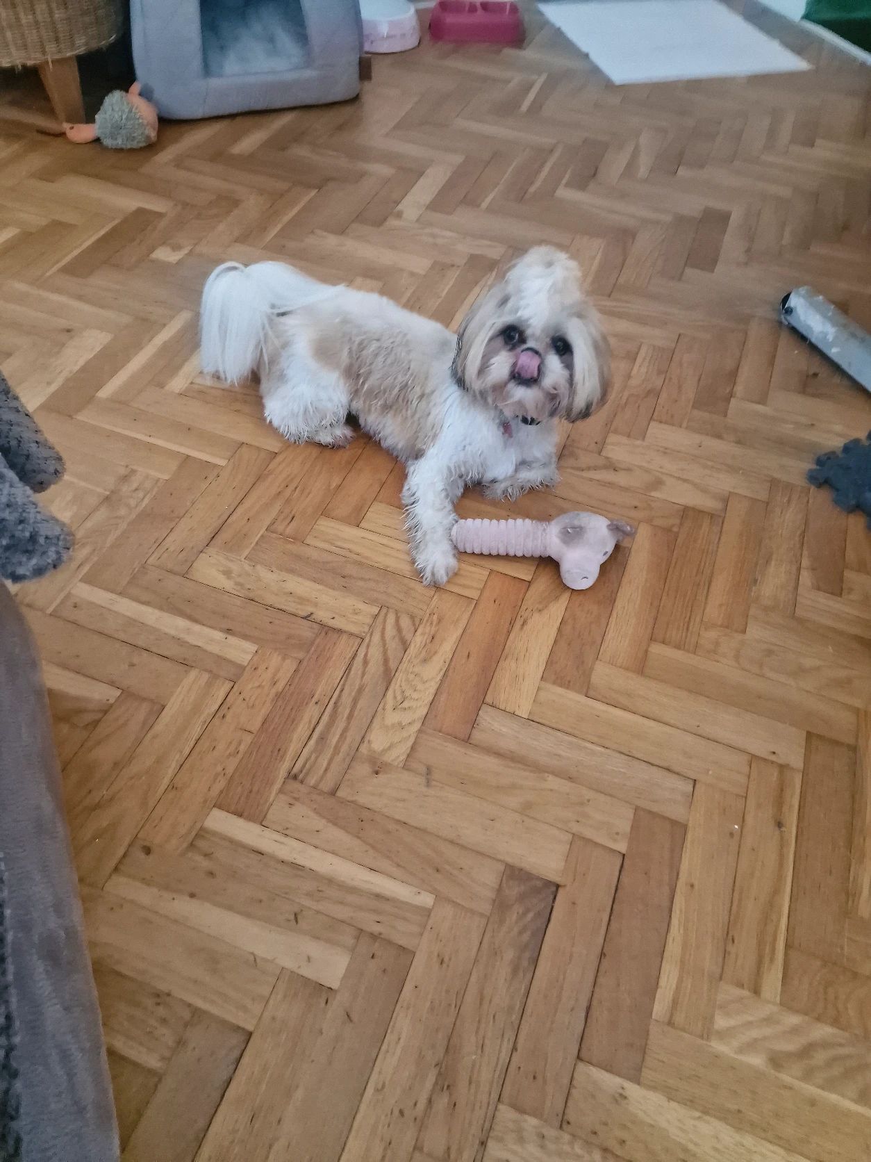 image-9