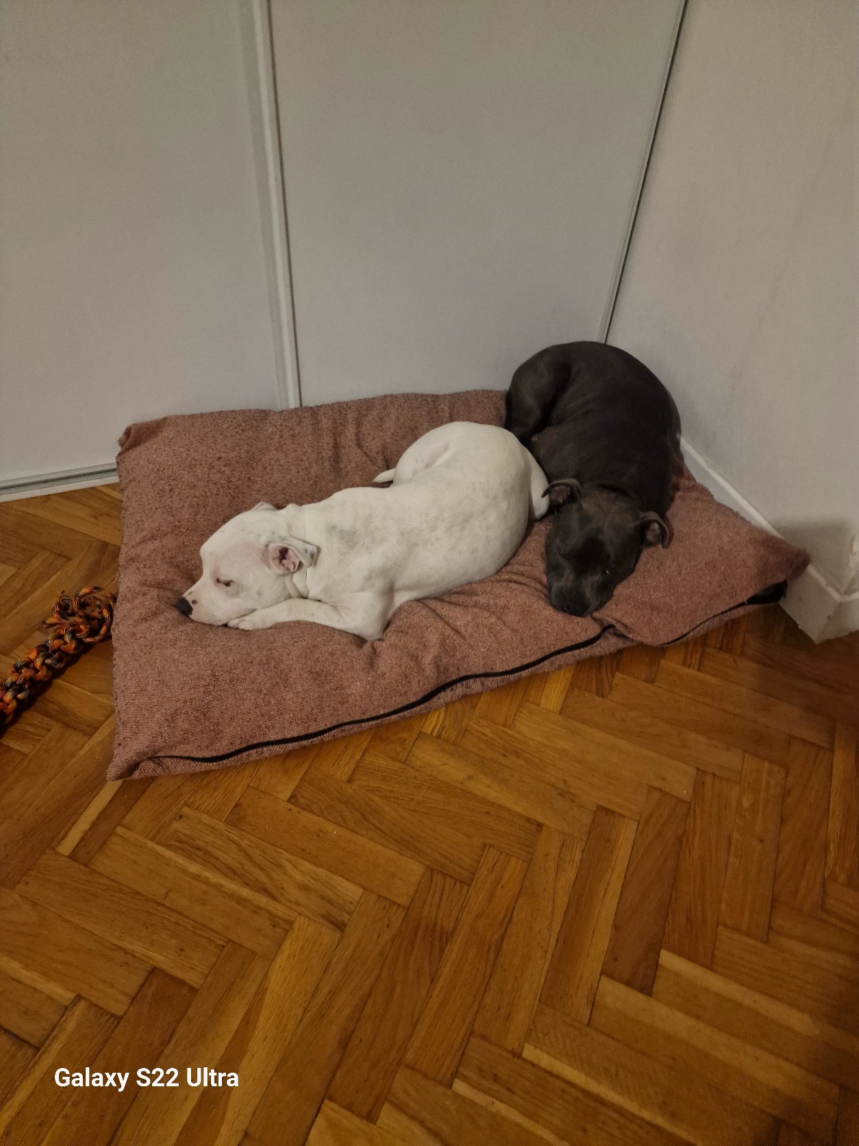 image-14