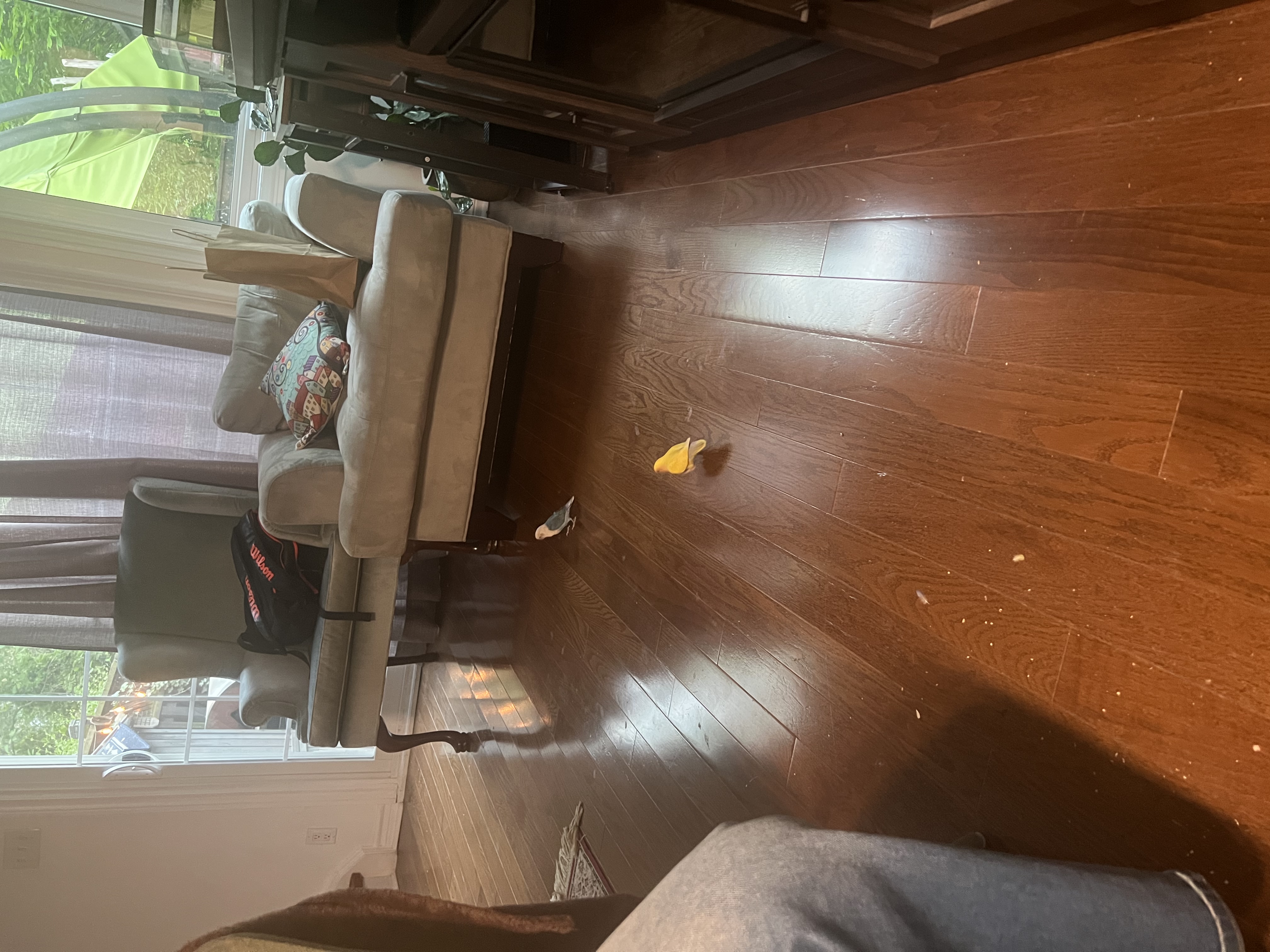 image-8