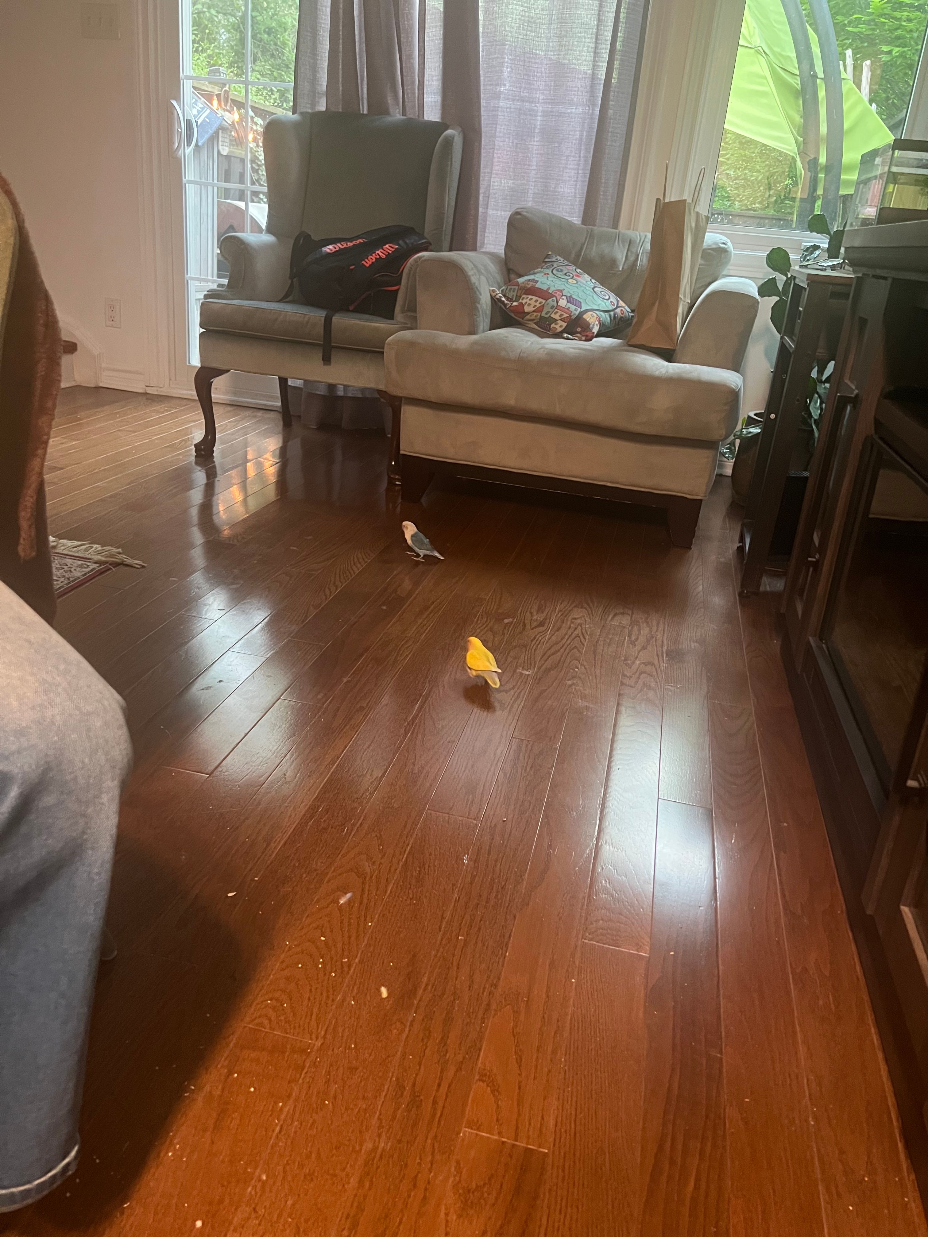 image-8