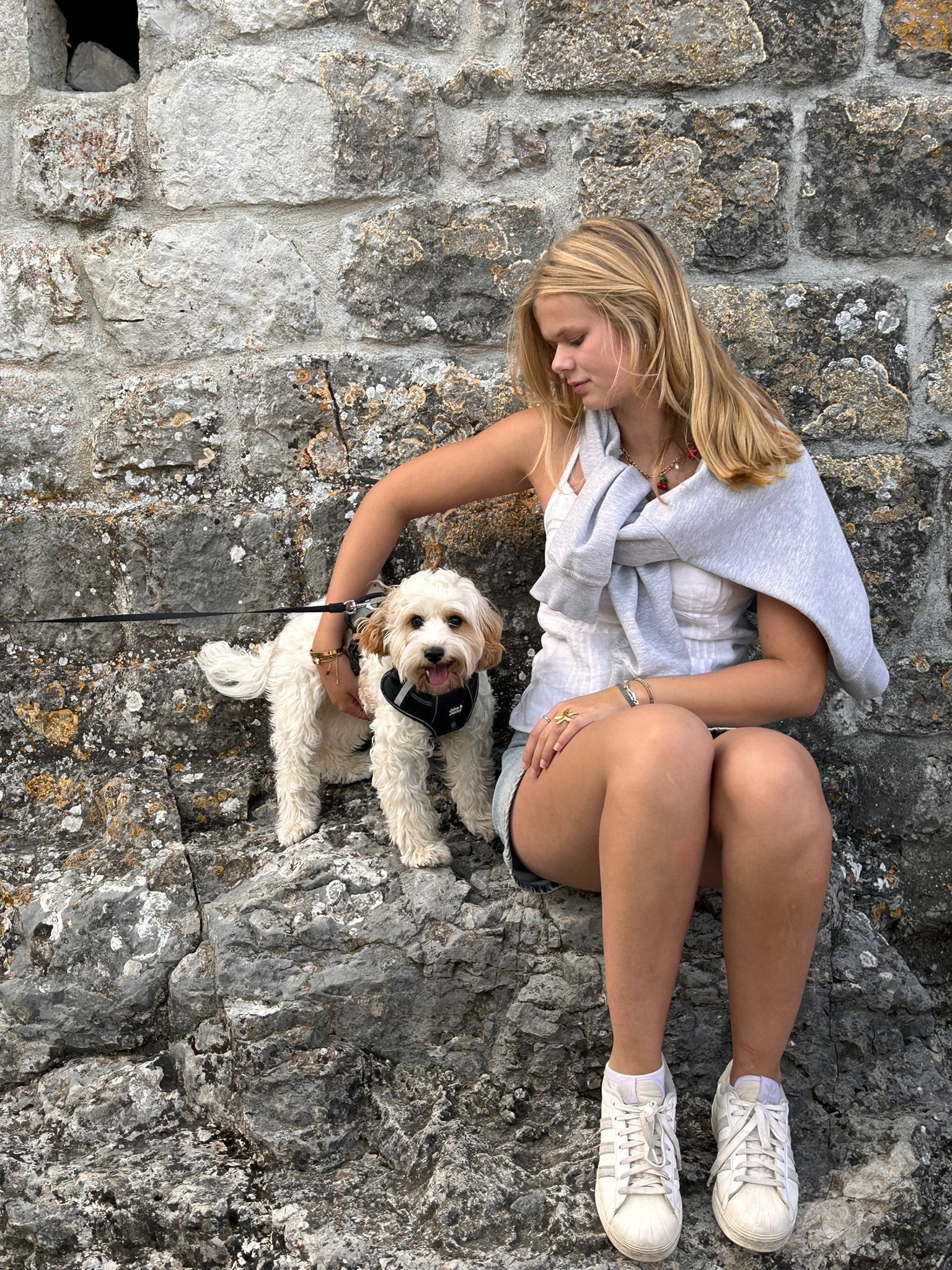 image-2