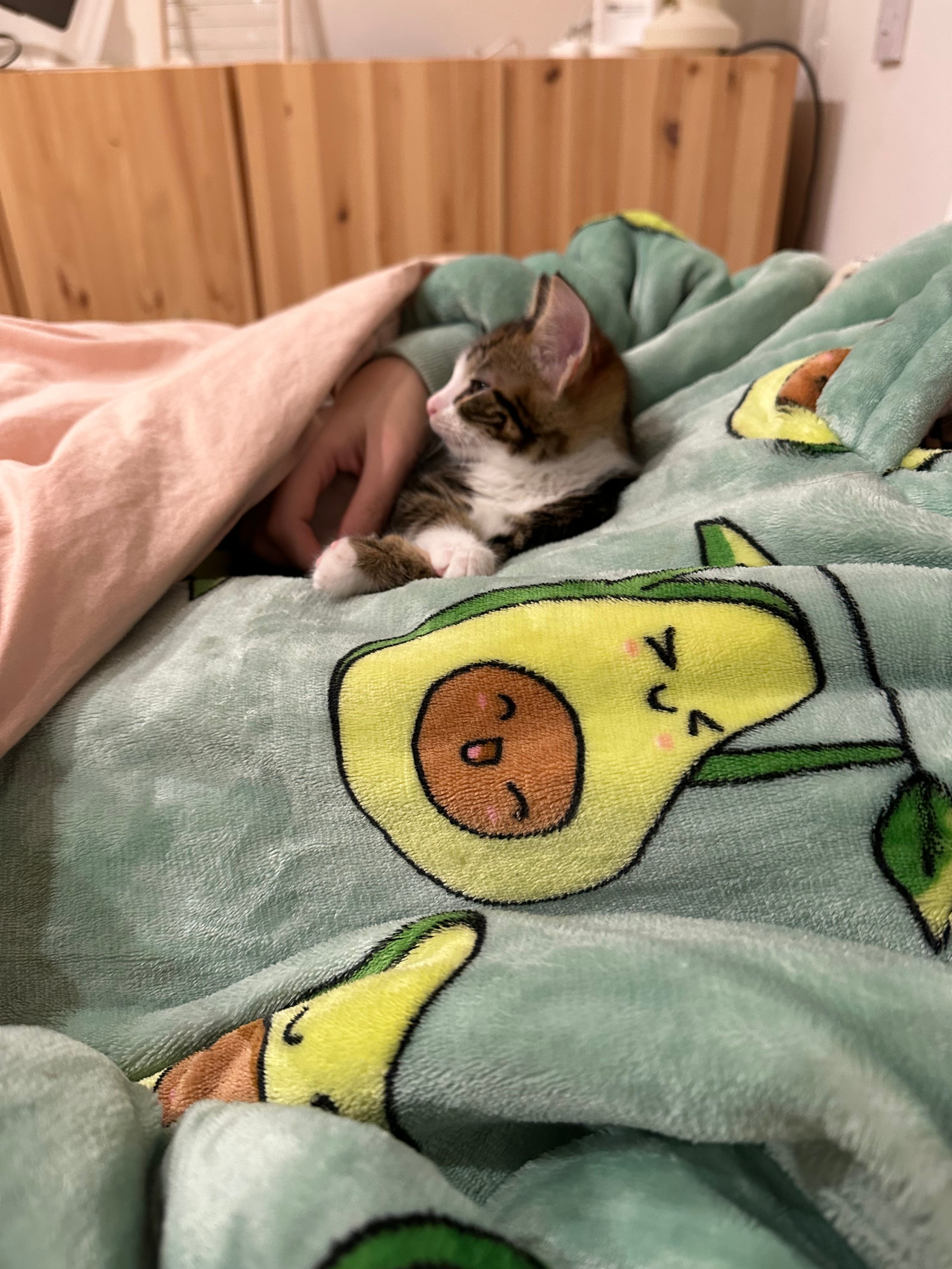 image-8