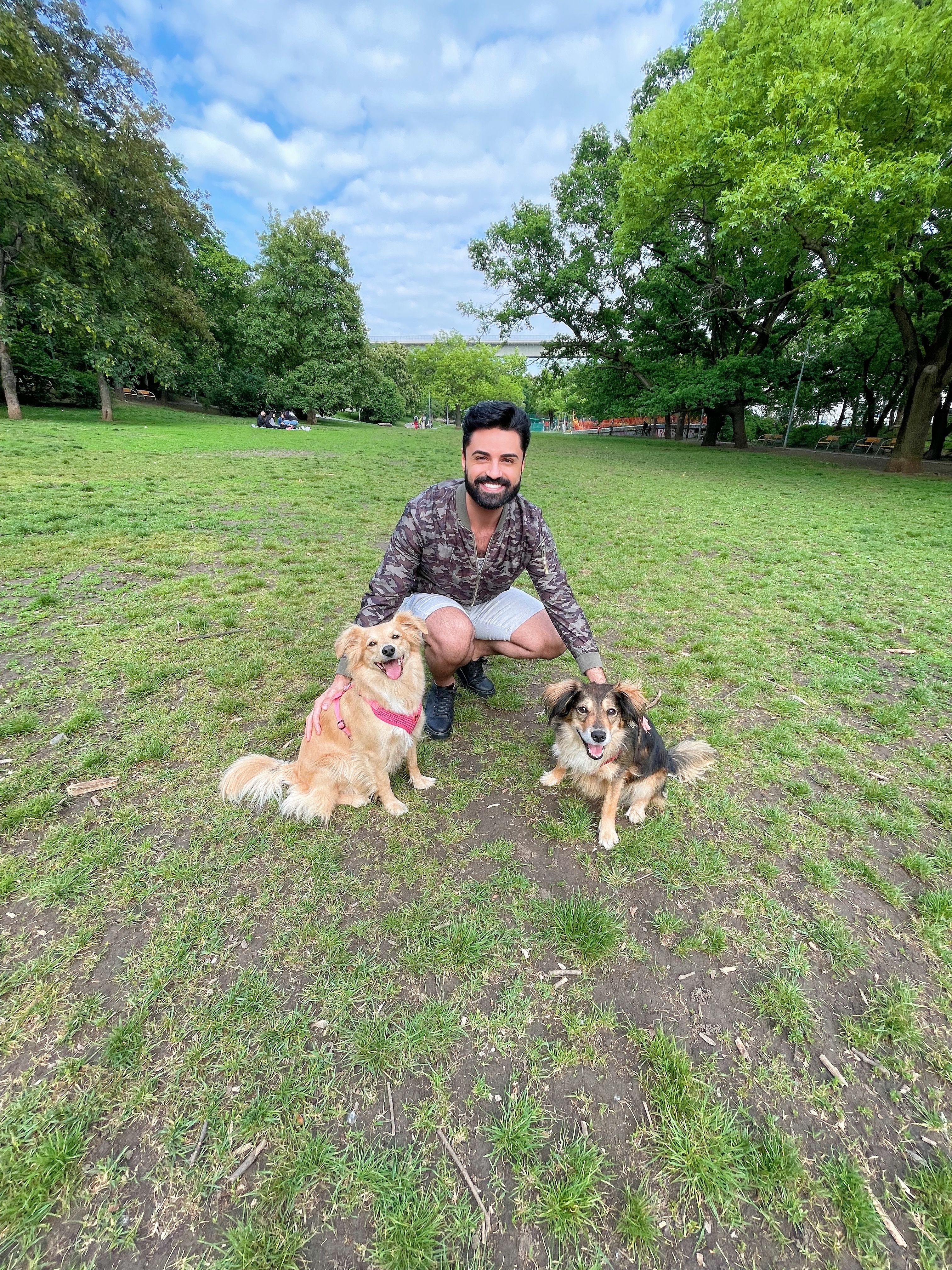 image-0