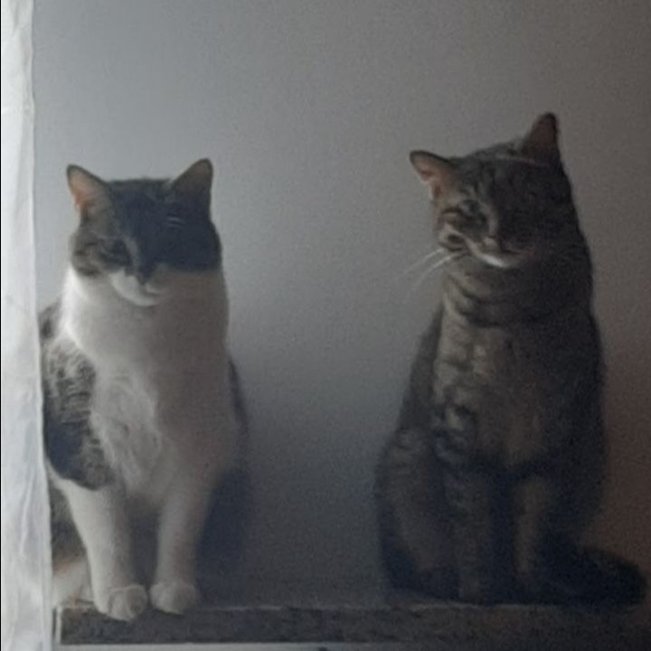 Luna e Dea 