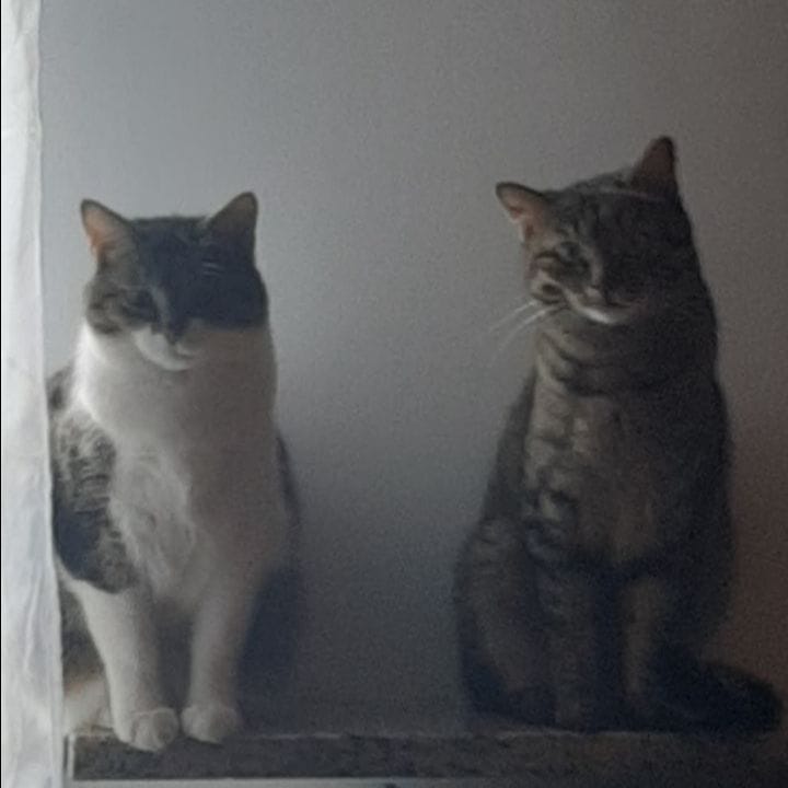 Luna e Dea