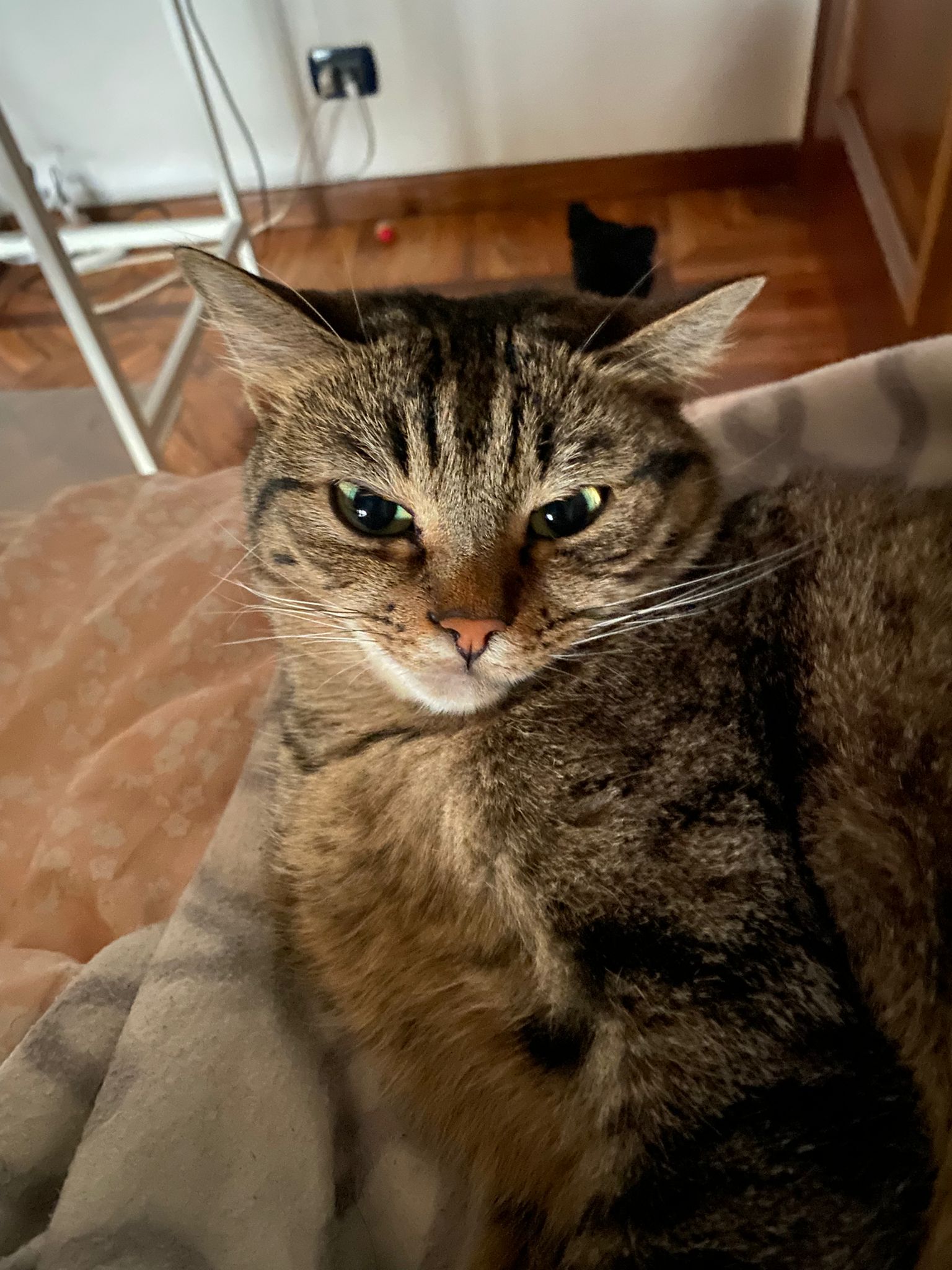image-11