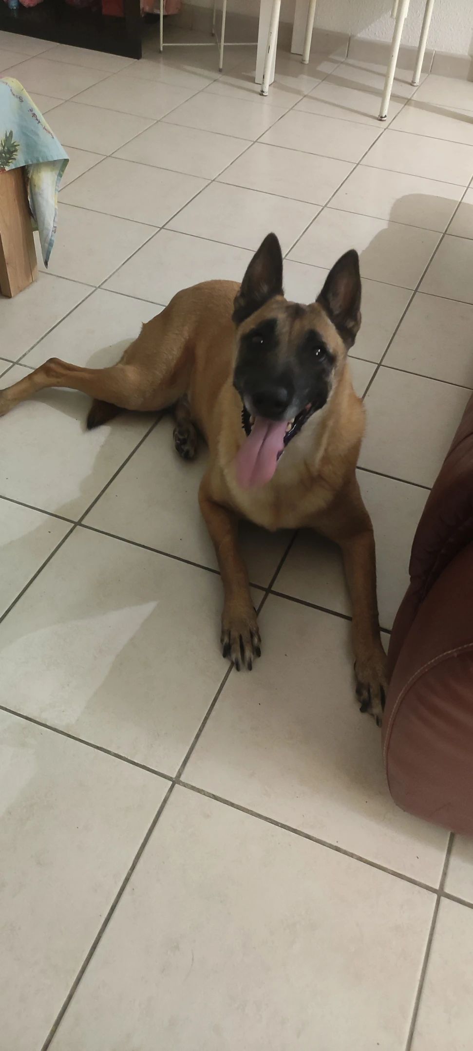 image-7