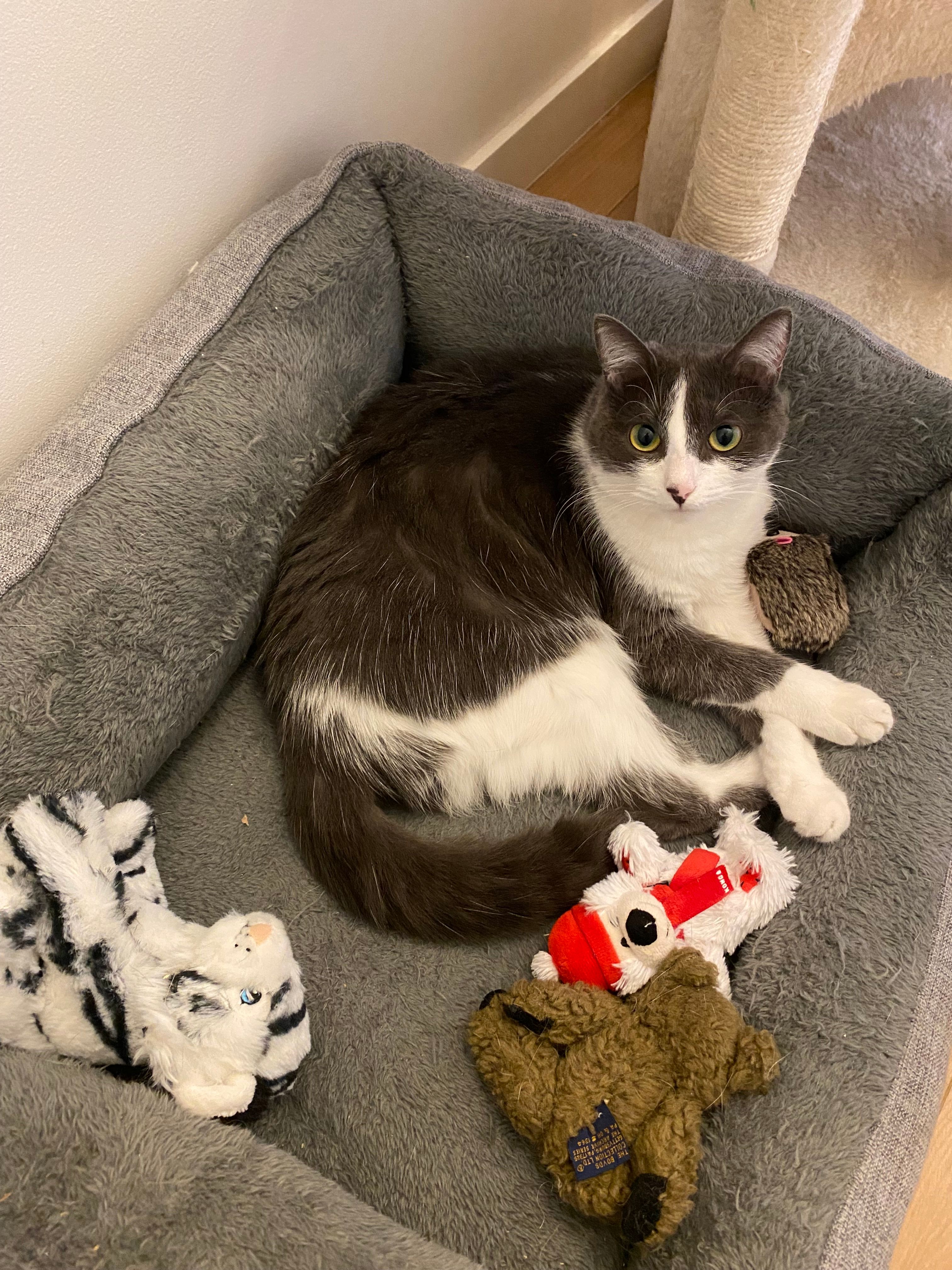 image-10