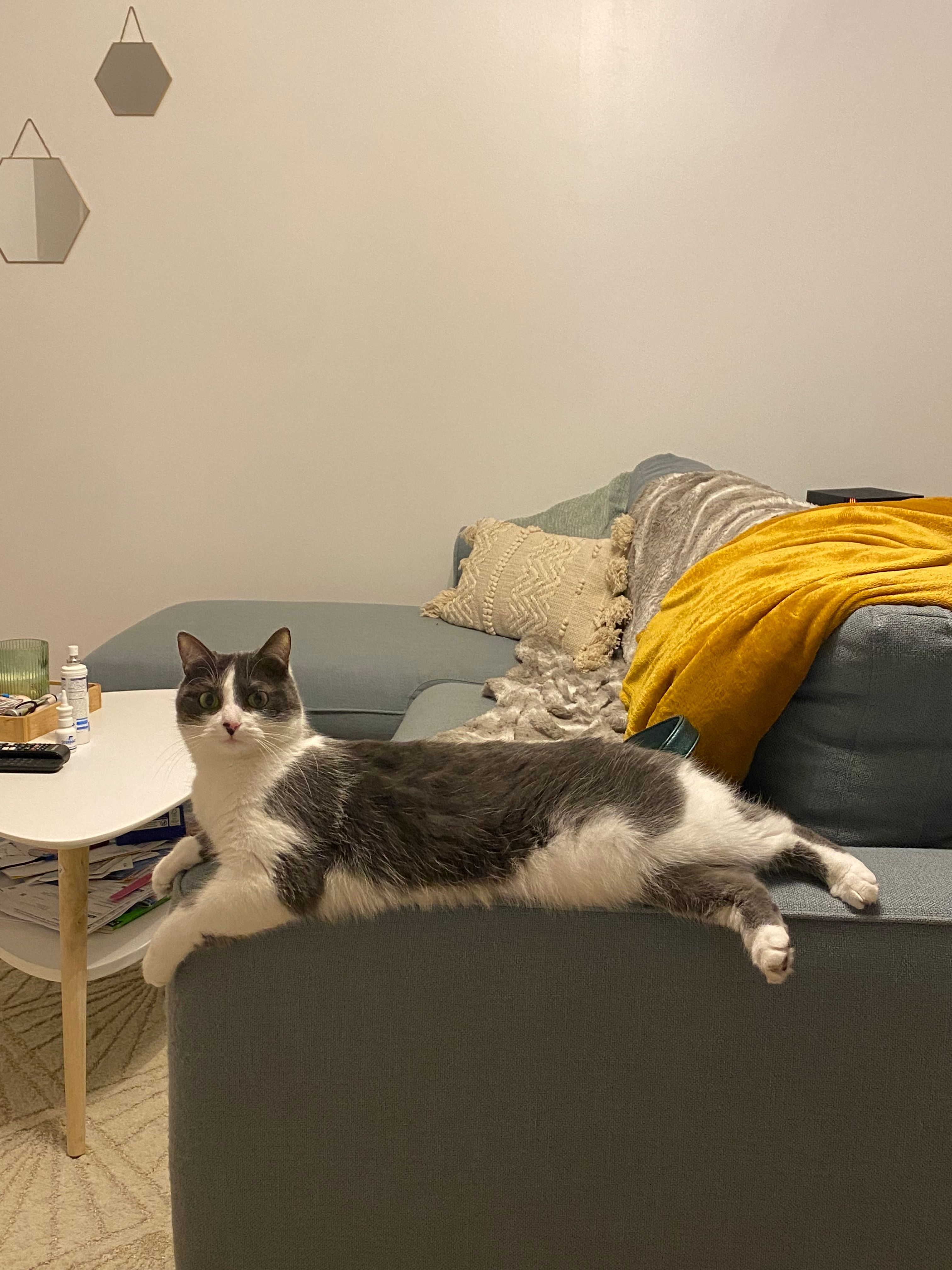 image-14