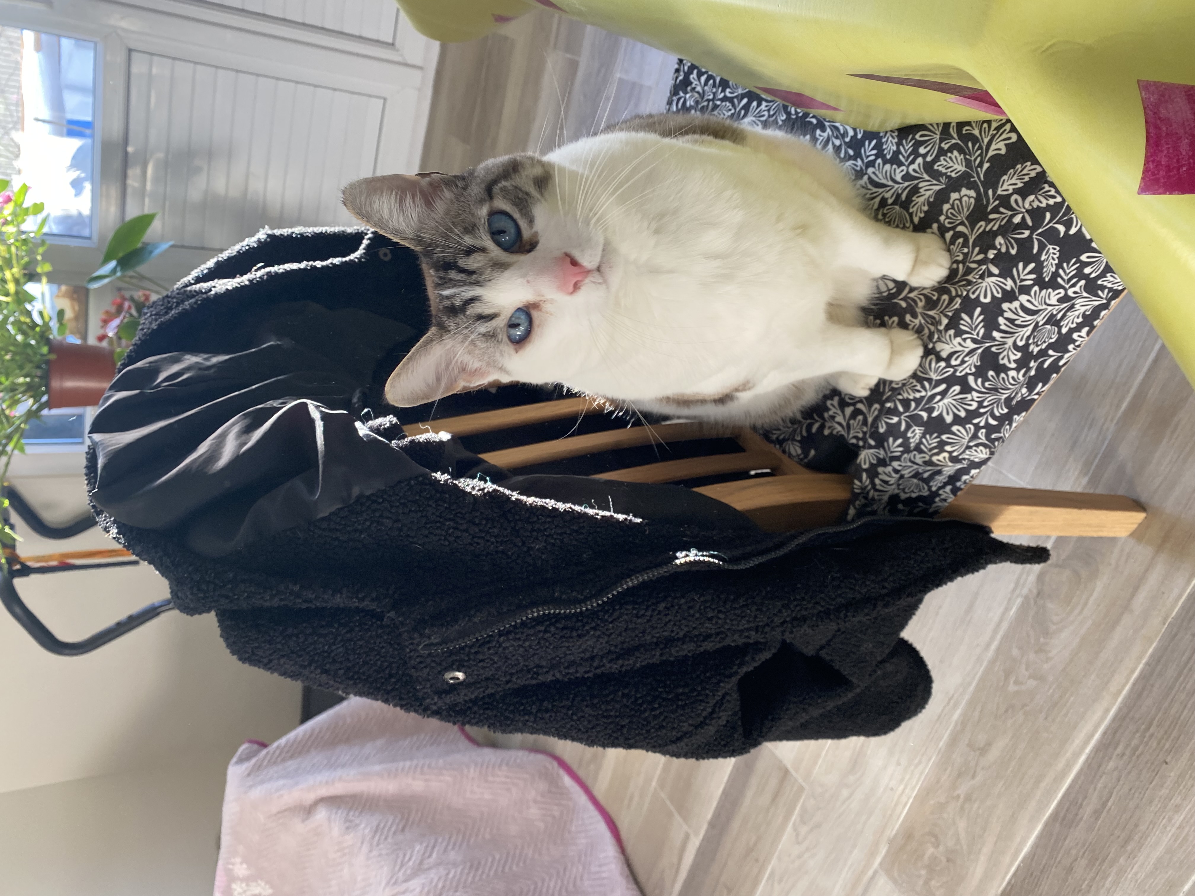 image-6