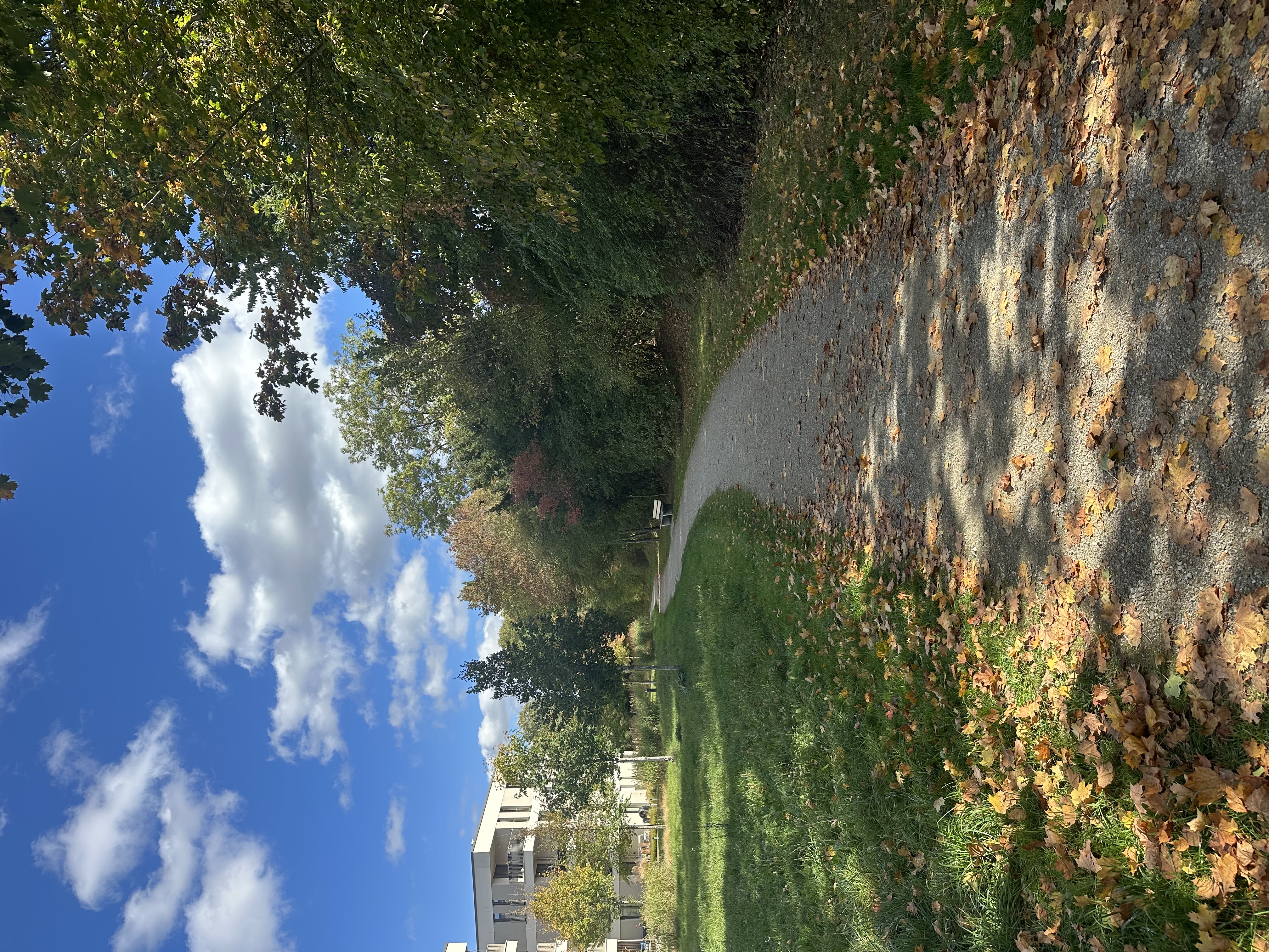 image-18