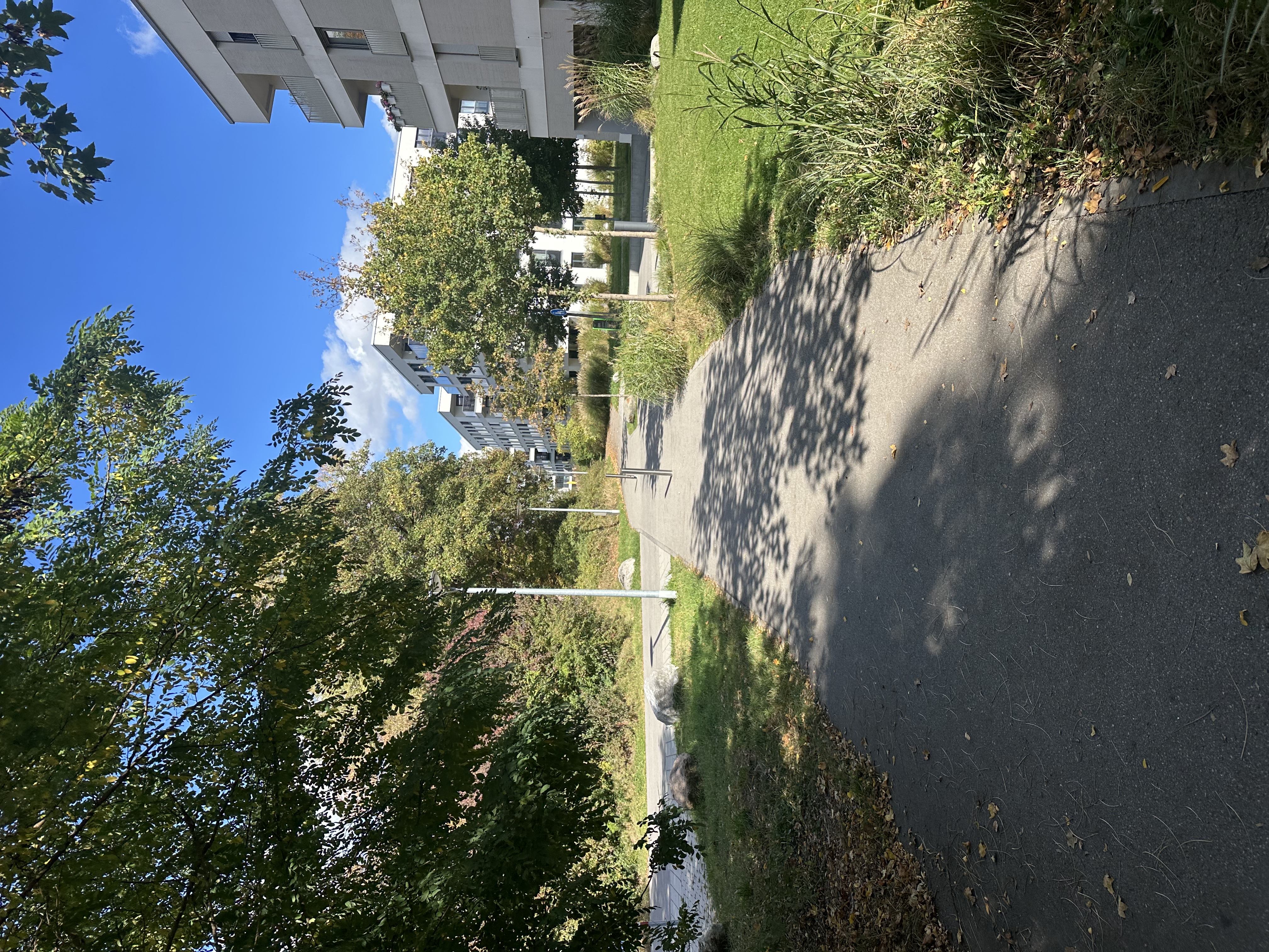 image-17