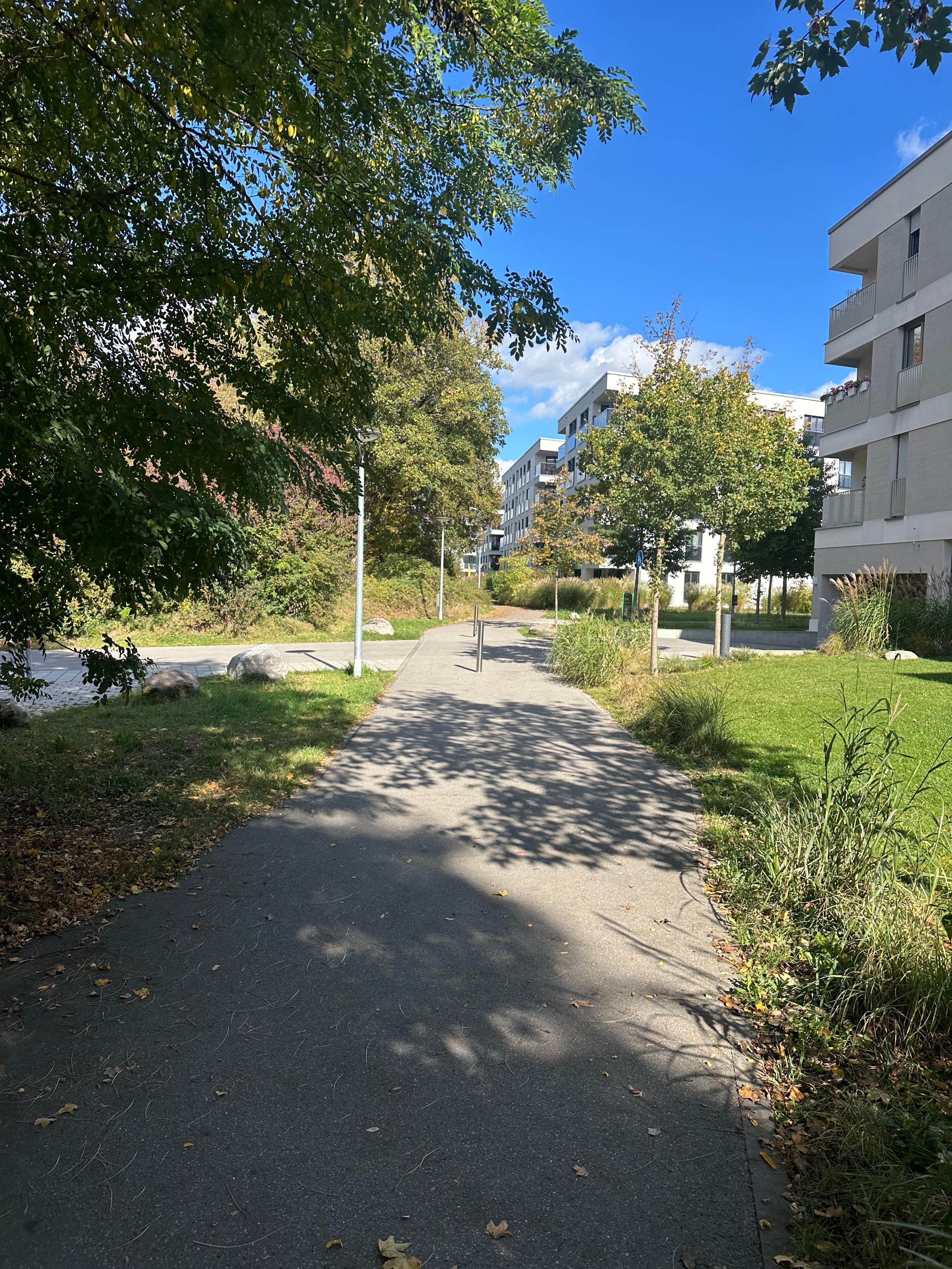 image-17