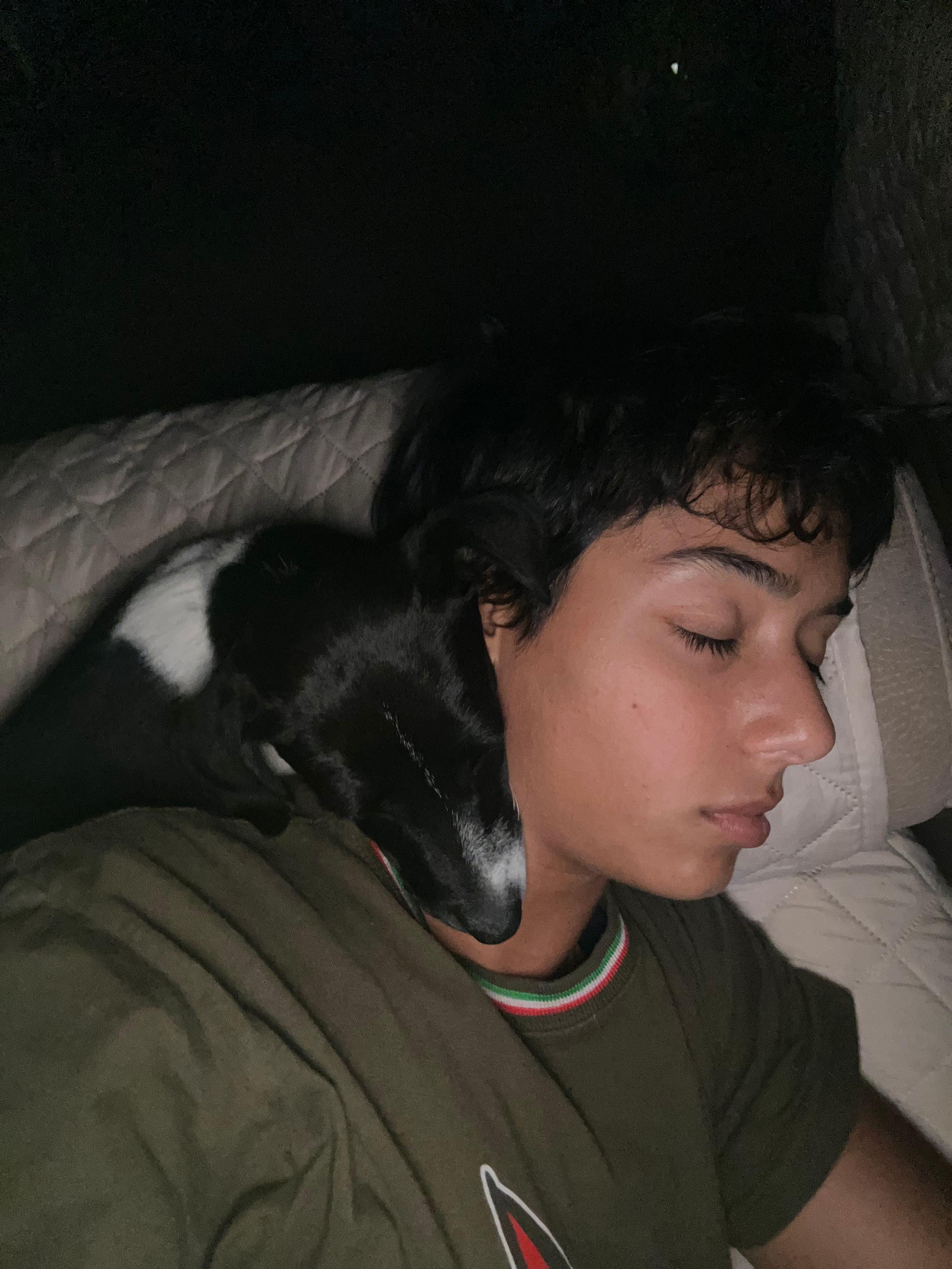 image-7