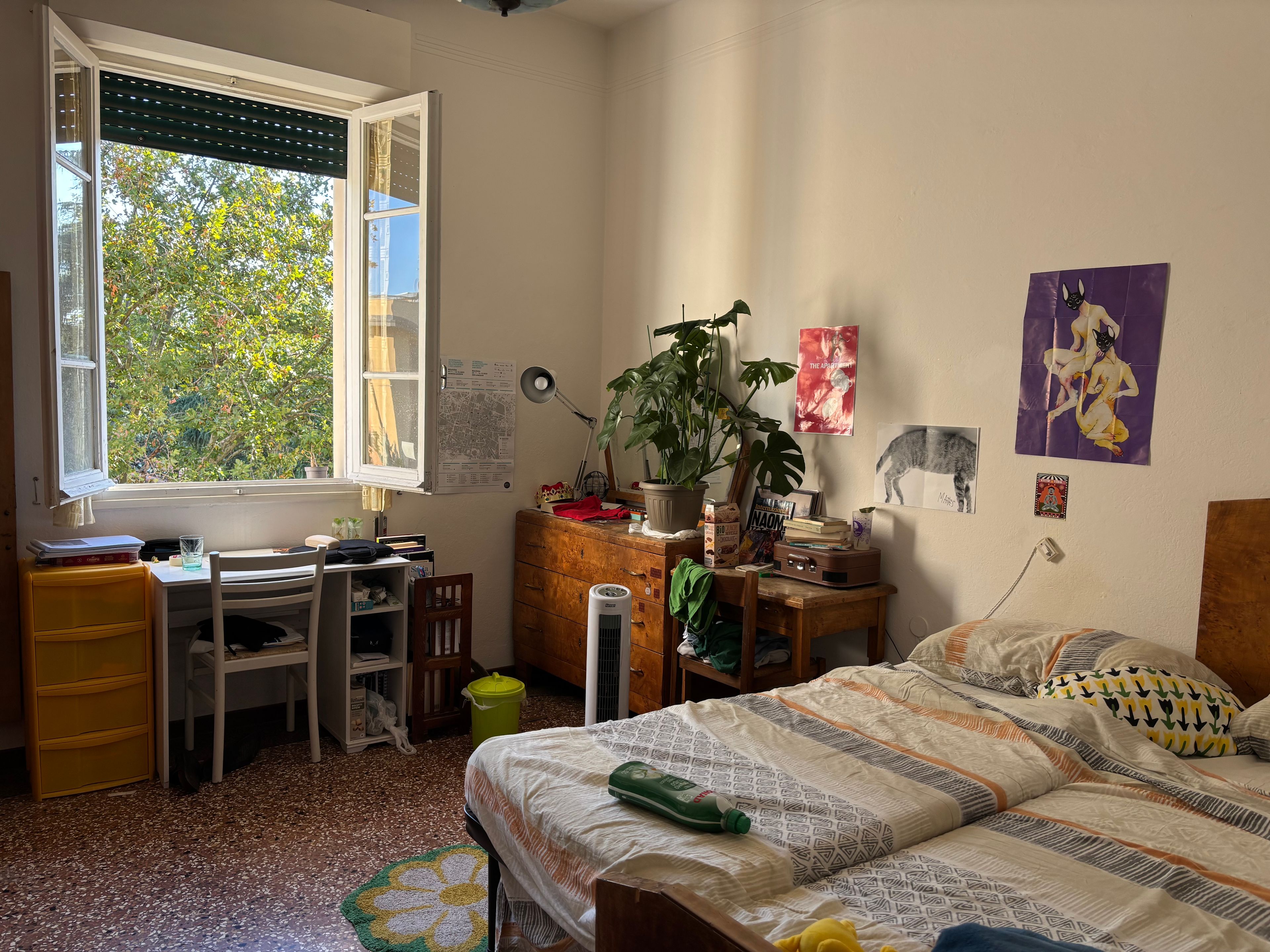 image-10