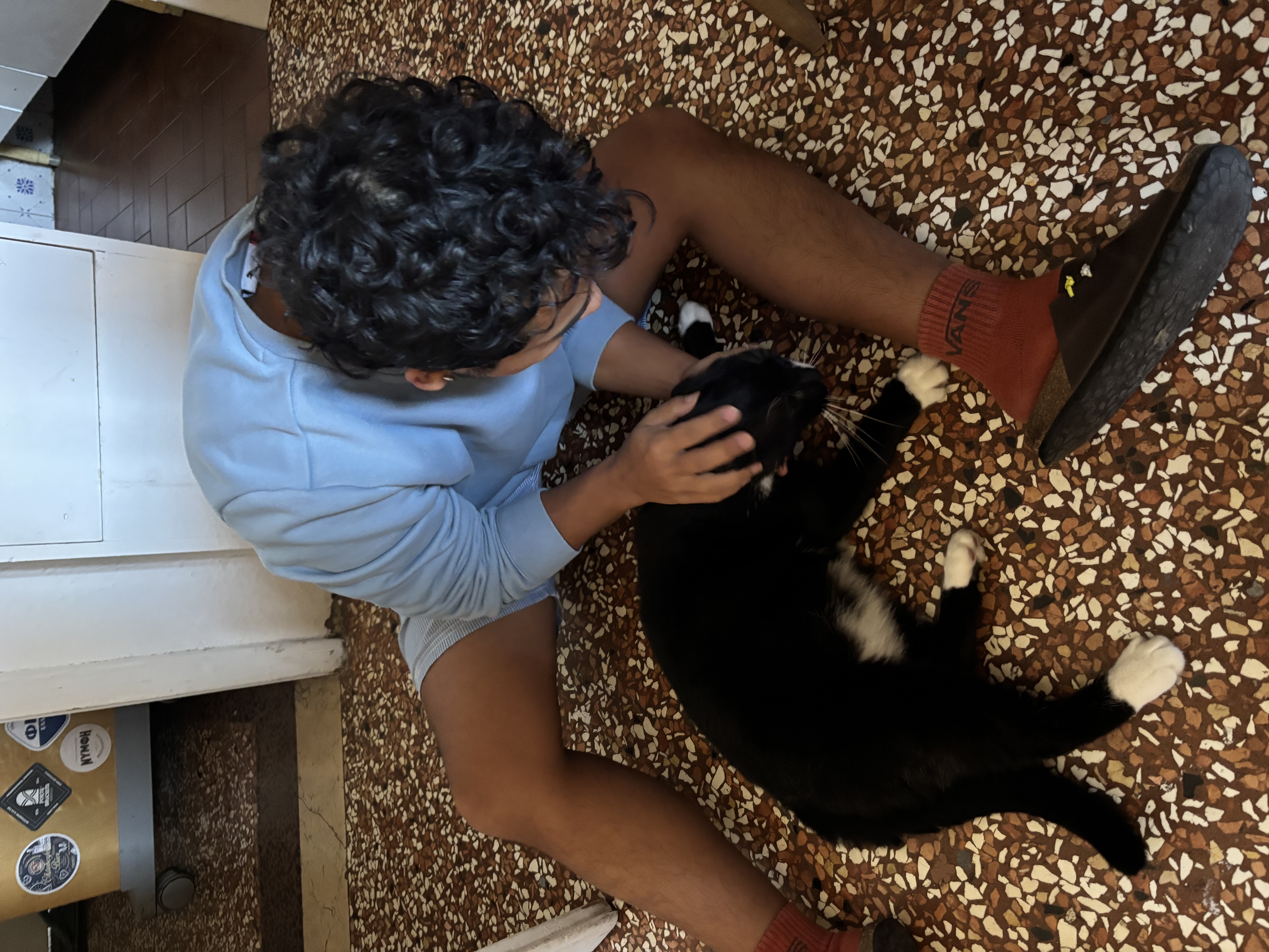 image-11