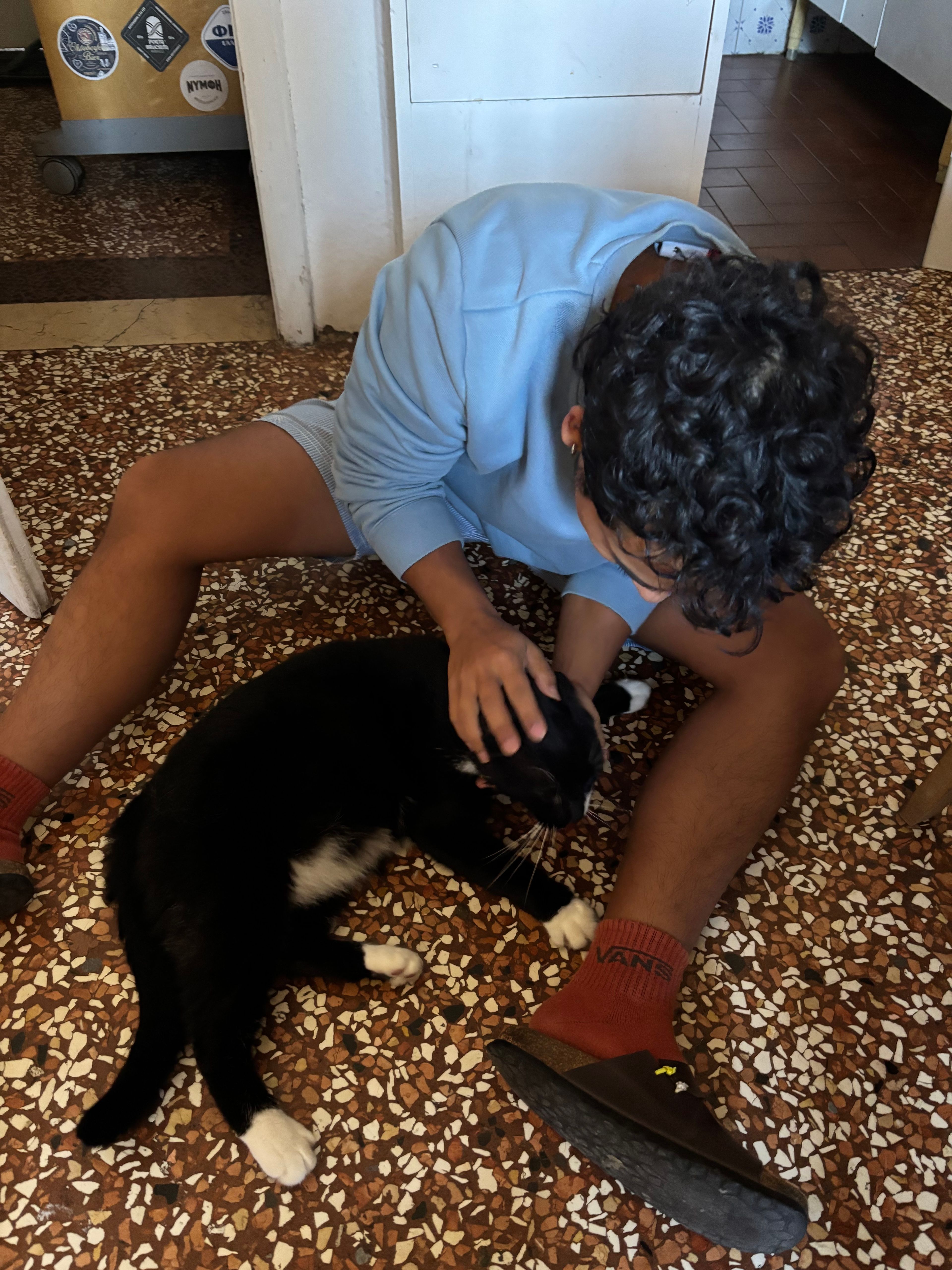 image-11