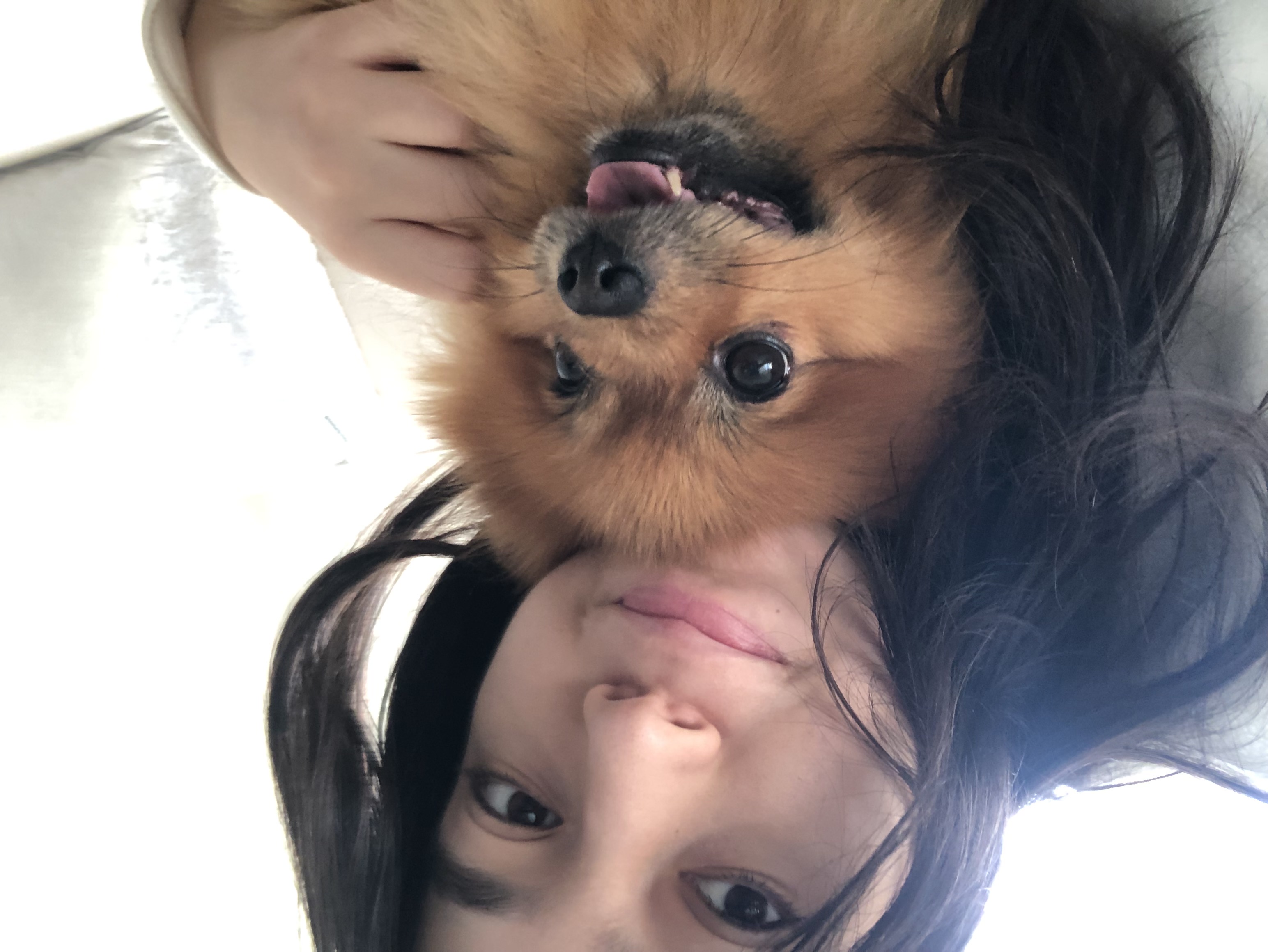 image-6