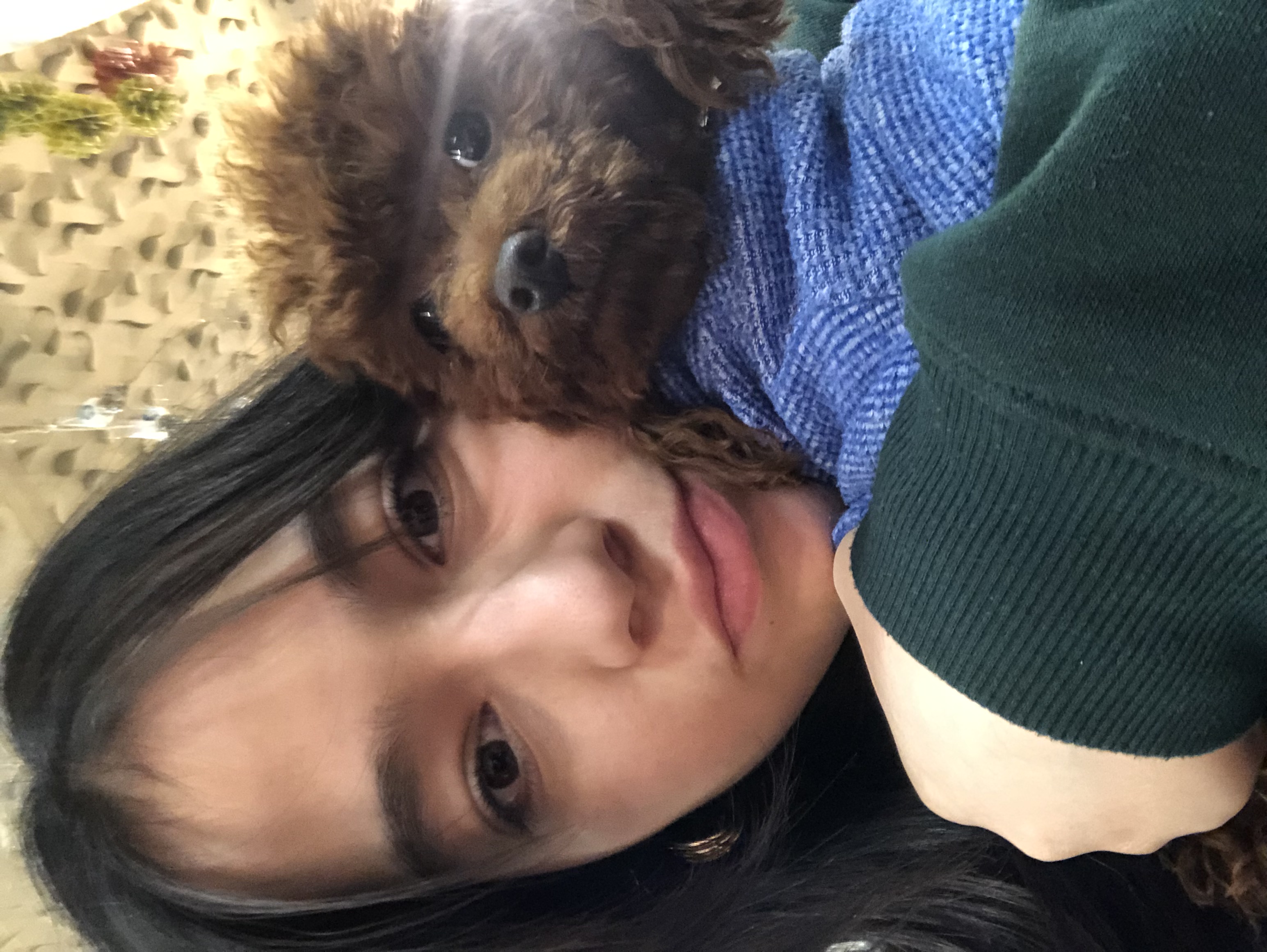 image-7