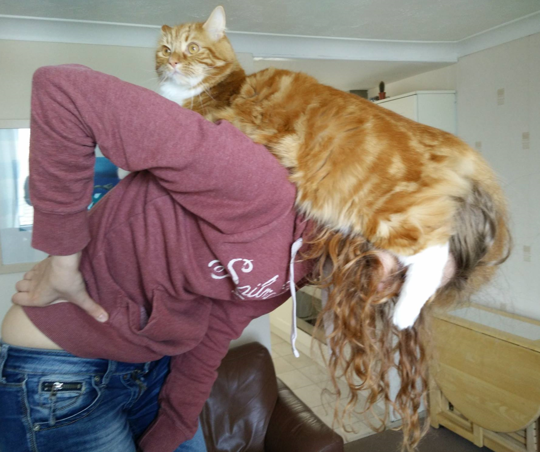 image-6