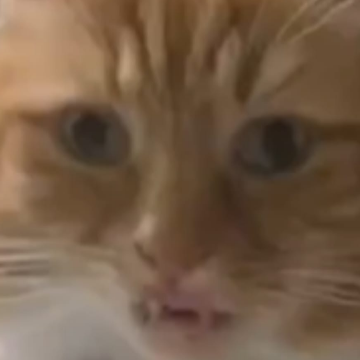 Hugo
