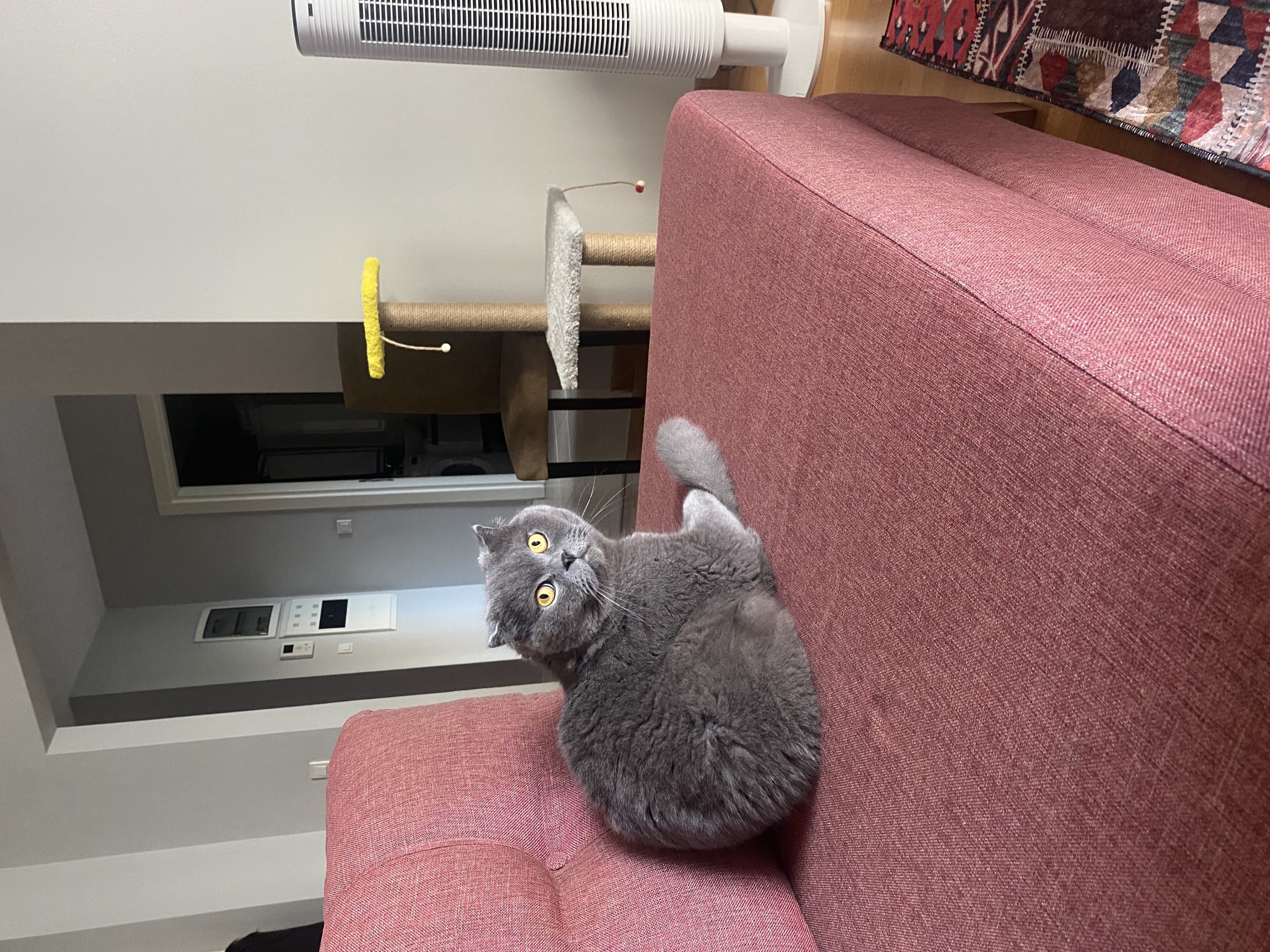 image-9