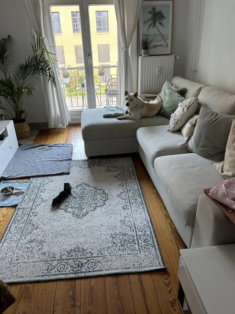 image-18