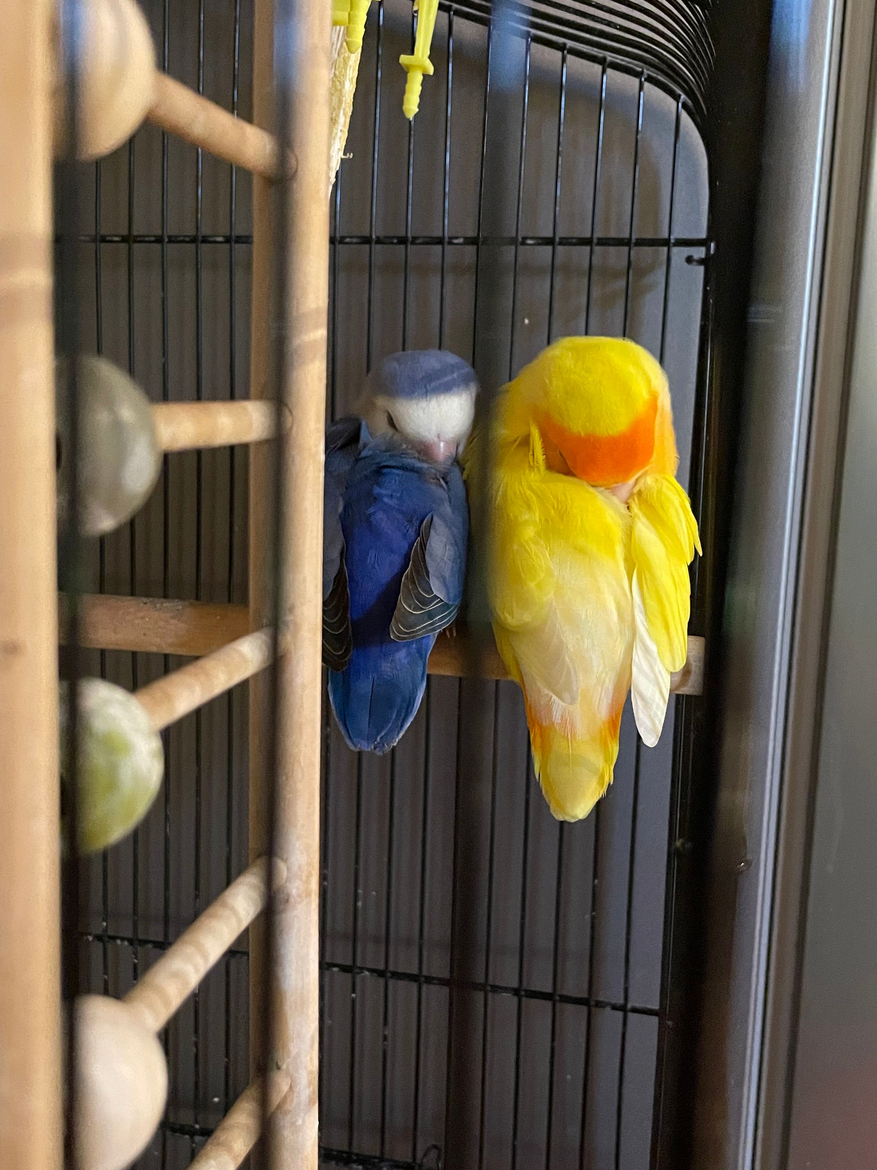 image-11