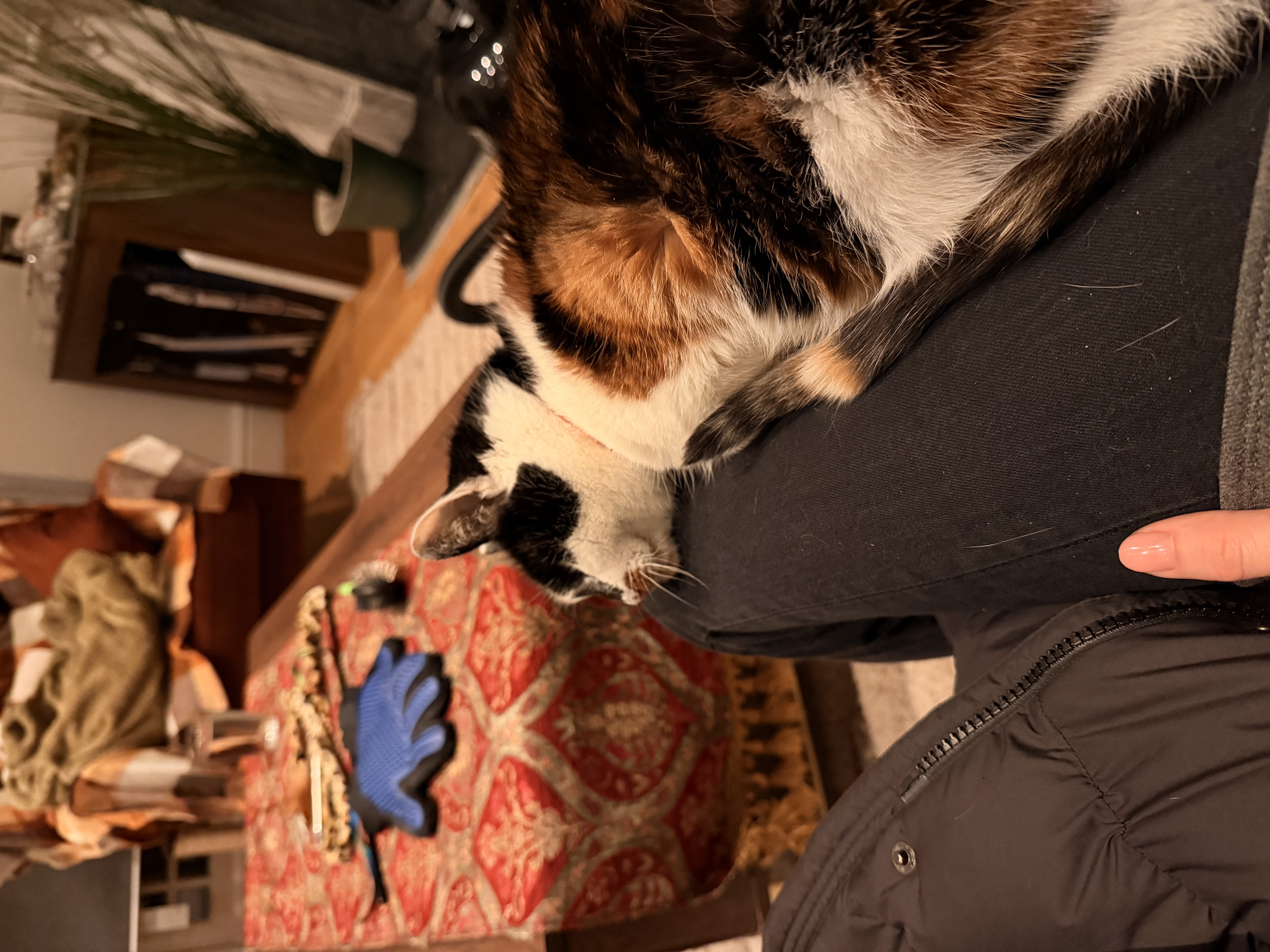 image-15
