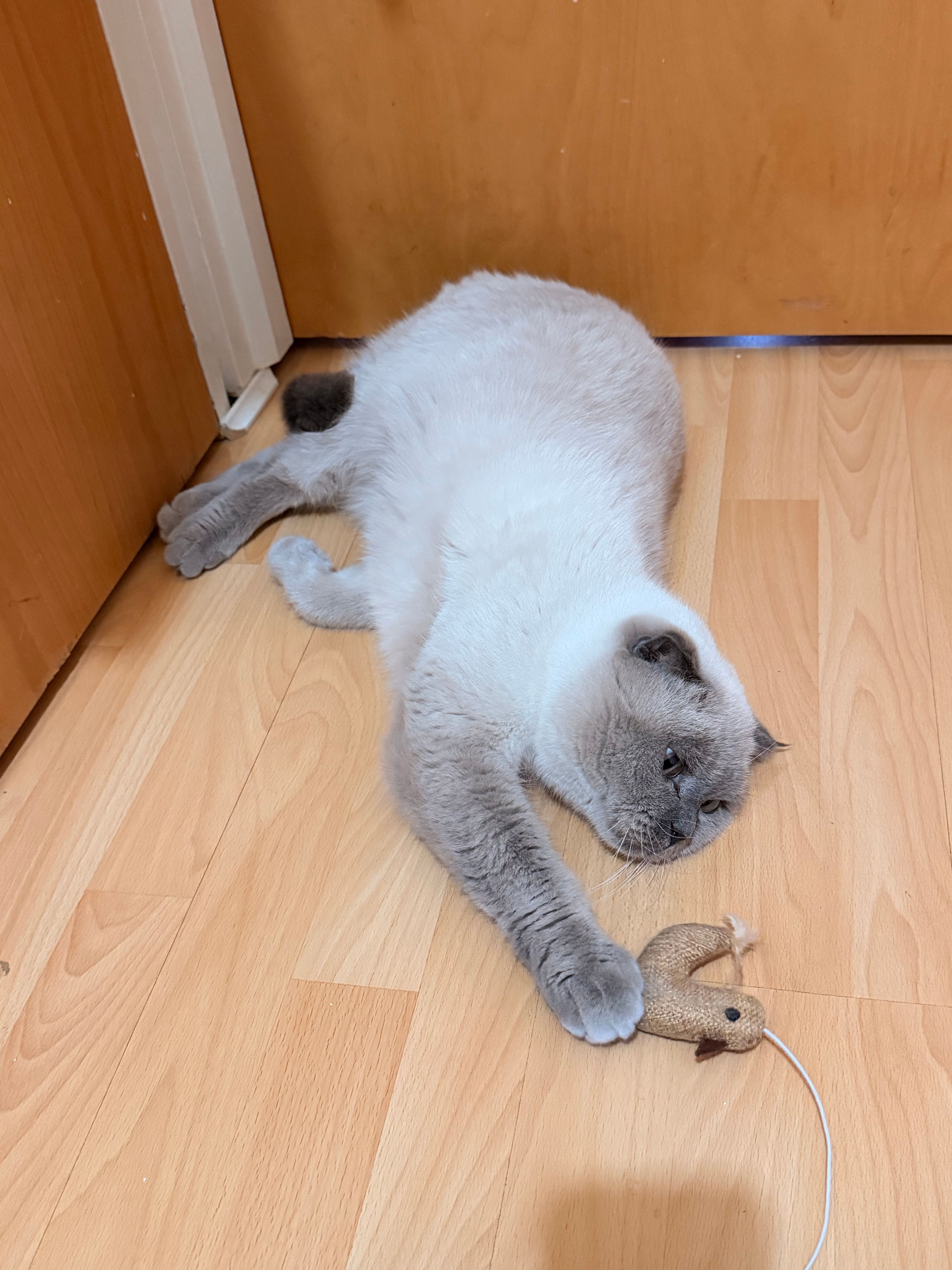 image-14